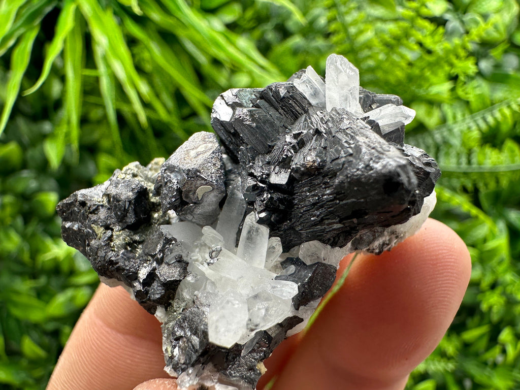 Sphalerite, Galena, Pyrite on Quartz Cluster - Borieva Mine, Bulgaria