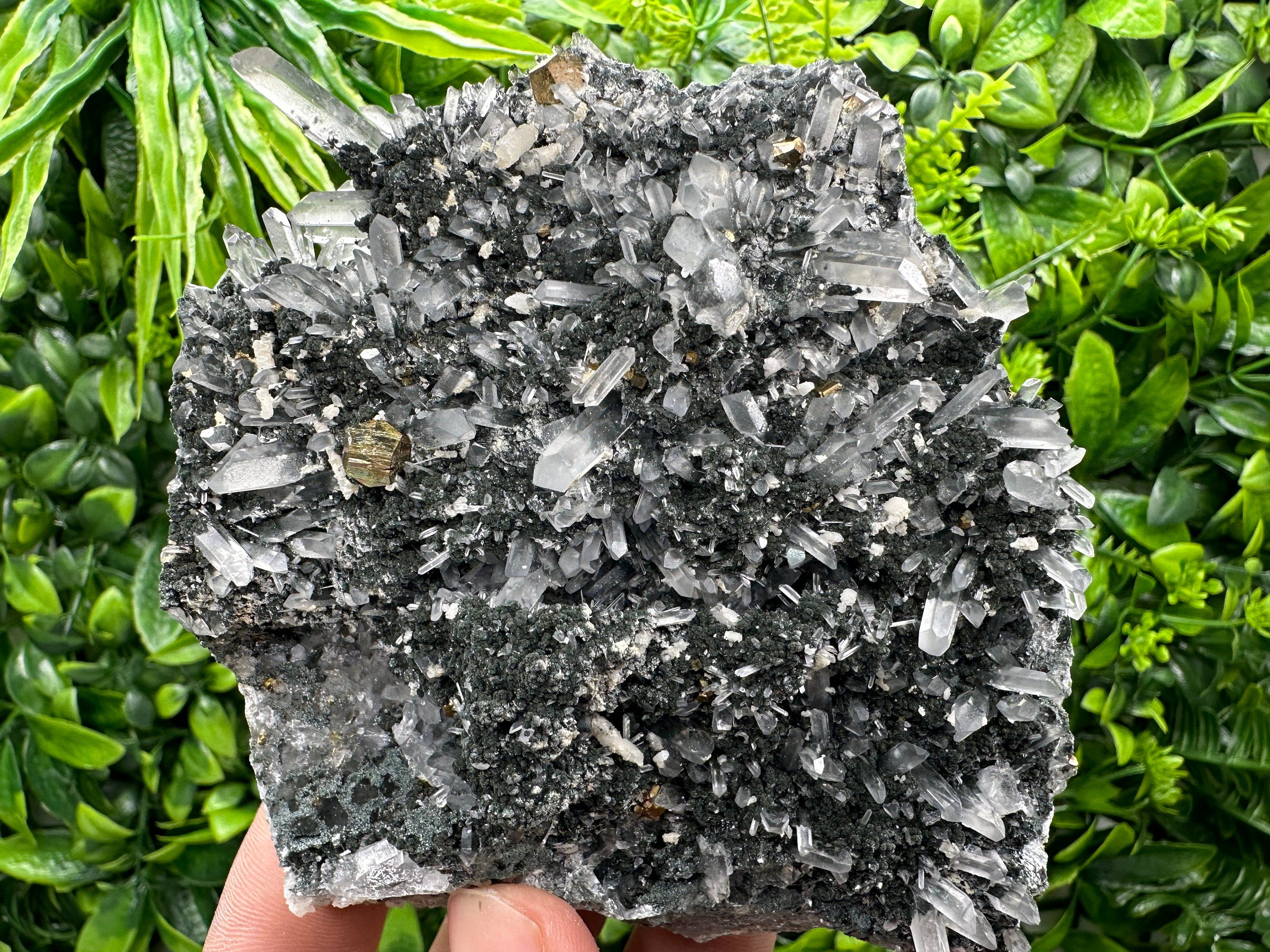 Pyrite on Quartz with Chlorite: Borieva Mine Crystal Decor