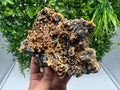 Skeletal Galena with Dolomite: Krushev Dol Mine, Bulgaria