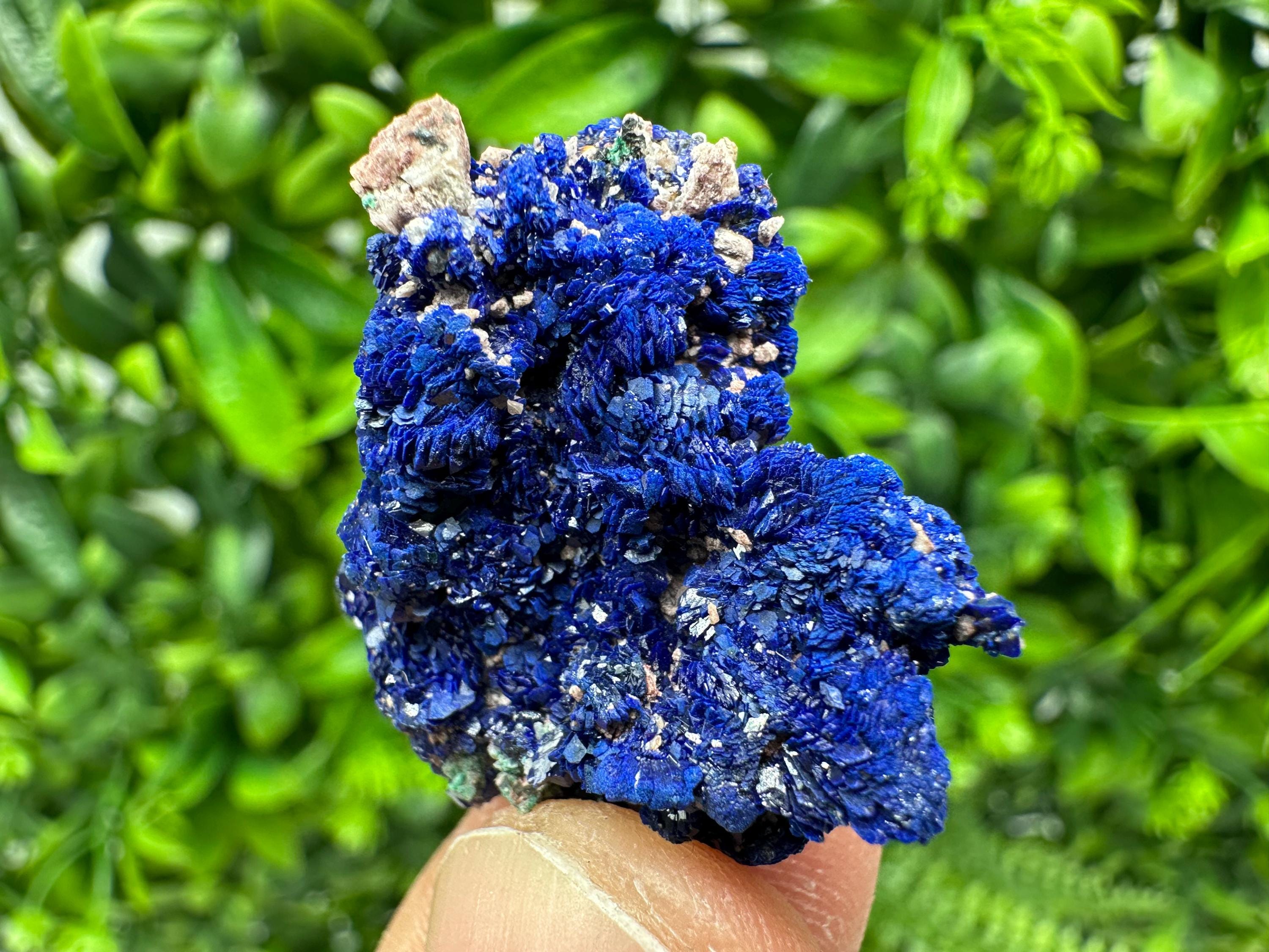 Crystallized Azurite-Kerrouchen,Morocco-Blue Azurite Specimen-High Quality Blue Azurite-Azurite Mineral Specimen, gemmy,lustrous of Azurite