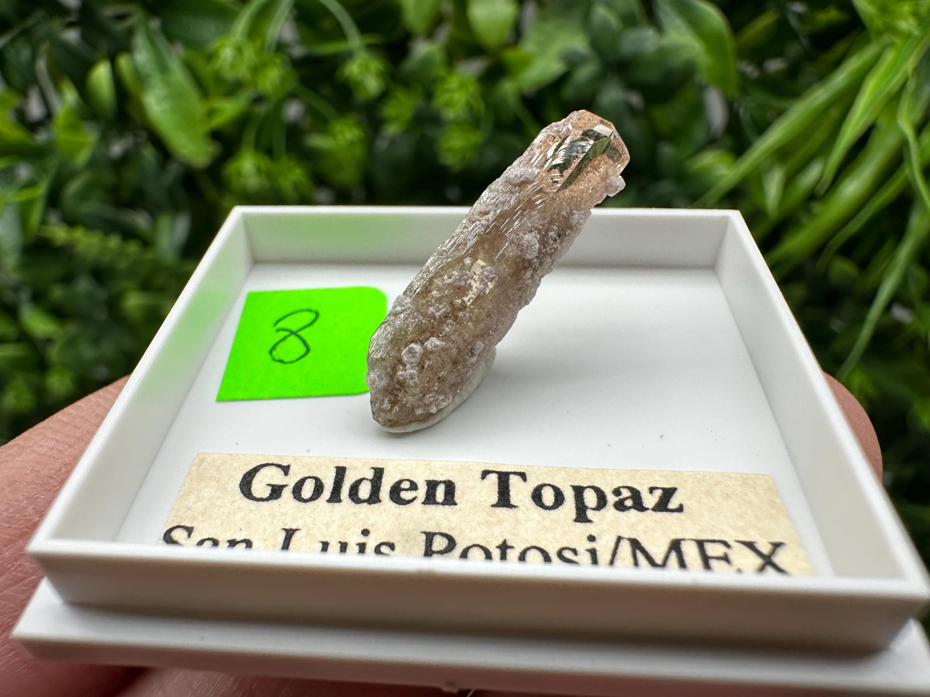 Golden Topaz Crystal, Mineral Specimen from Mexico