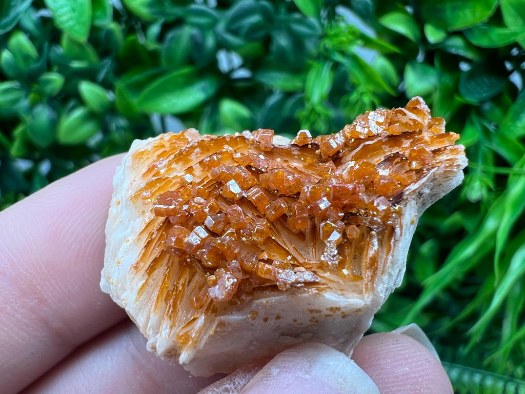 Red Vanadinite on Barite from Marocco,crystal minerals Speciment cluster Vanadinite crystal Vanadinite Geology Vanadinite cluster minerals