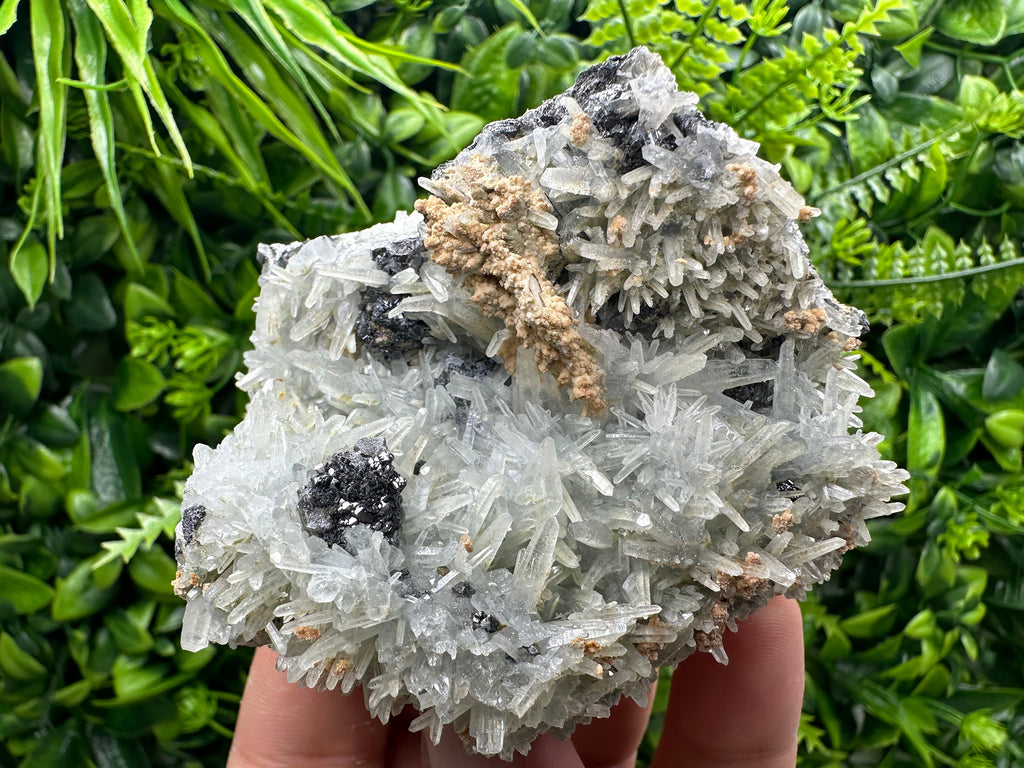 Sphalerite on Green Quartz, Bulgaria Mineral Specimen, Home Decor Stone