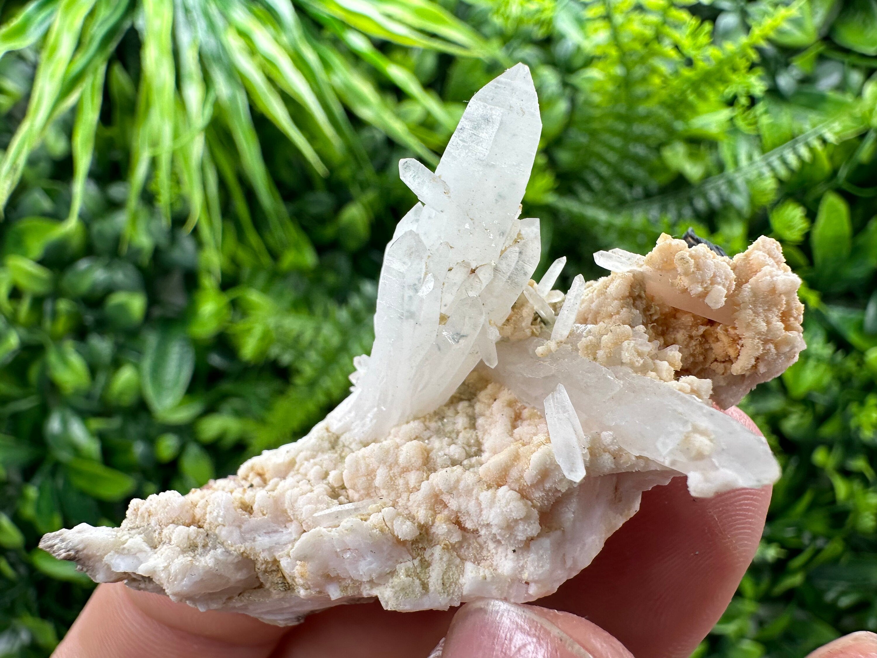 Quartz with Chlorite, Rhodochrosite & Siderite Mineral Specimen