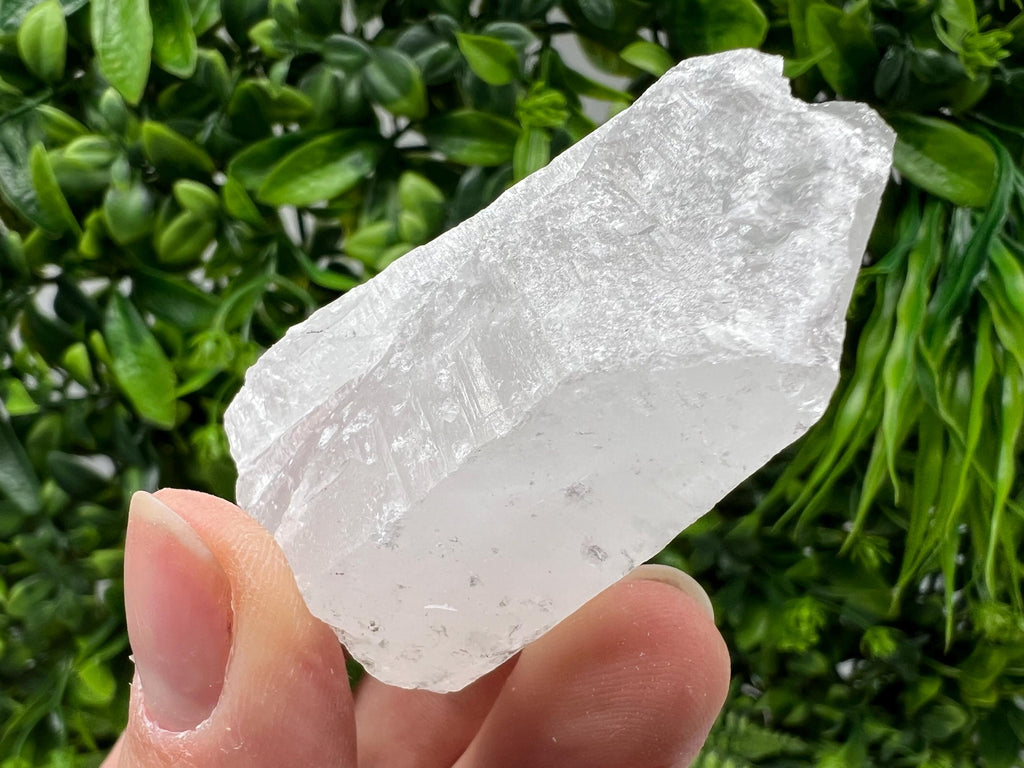 Quartz with Pyrite Specimen: Krushev Dol Mine, Bulgaria