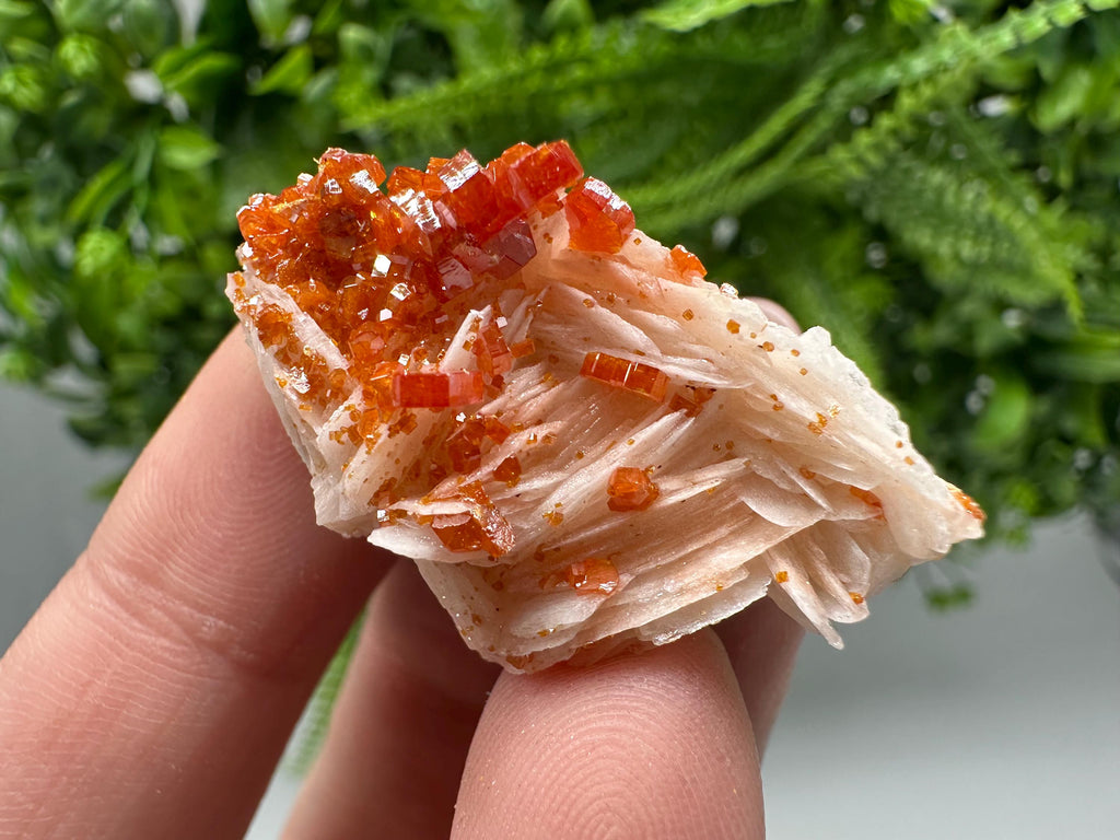 Red Vanadinite on Barite Specimen, Moroccan Crystal Cluster