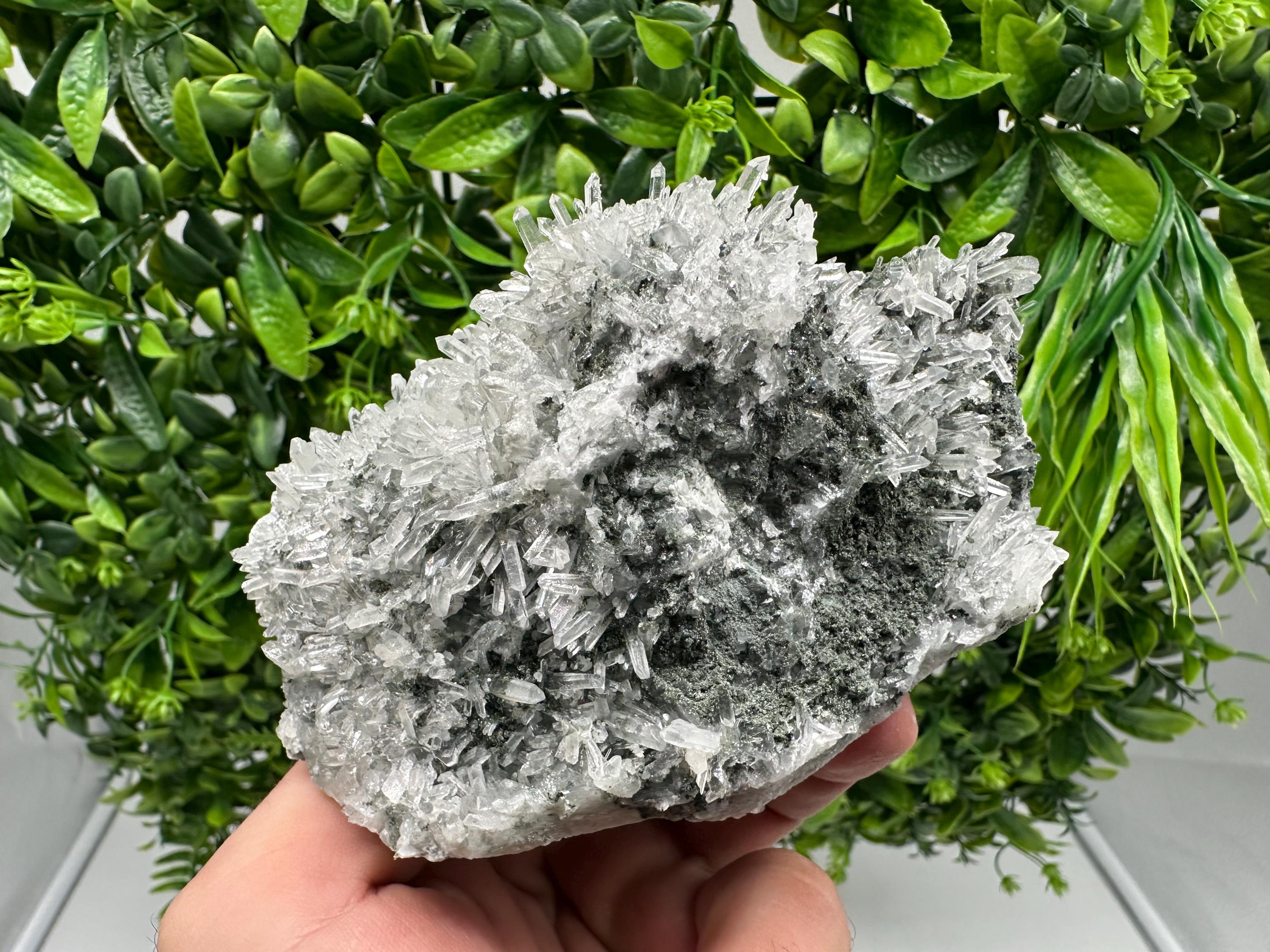 Transparent Quartz on Chlorite Matrix, Borieva Mine, Bulgaria