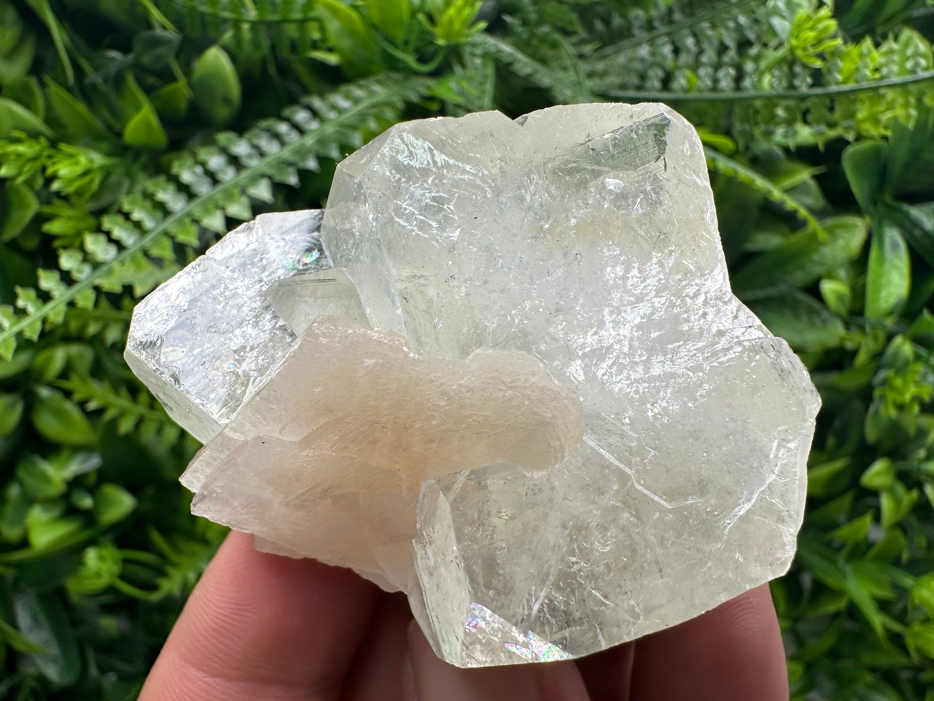 Apophyllite with Stilbite, India Mineral Specimen, Rare Crystal