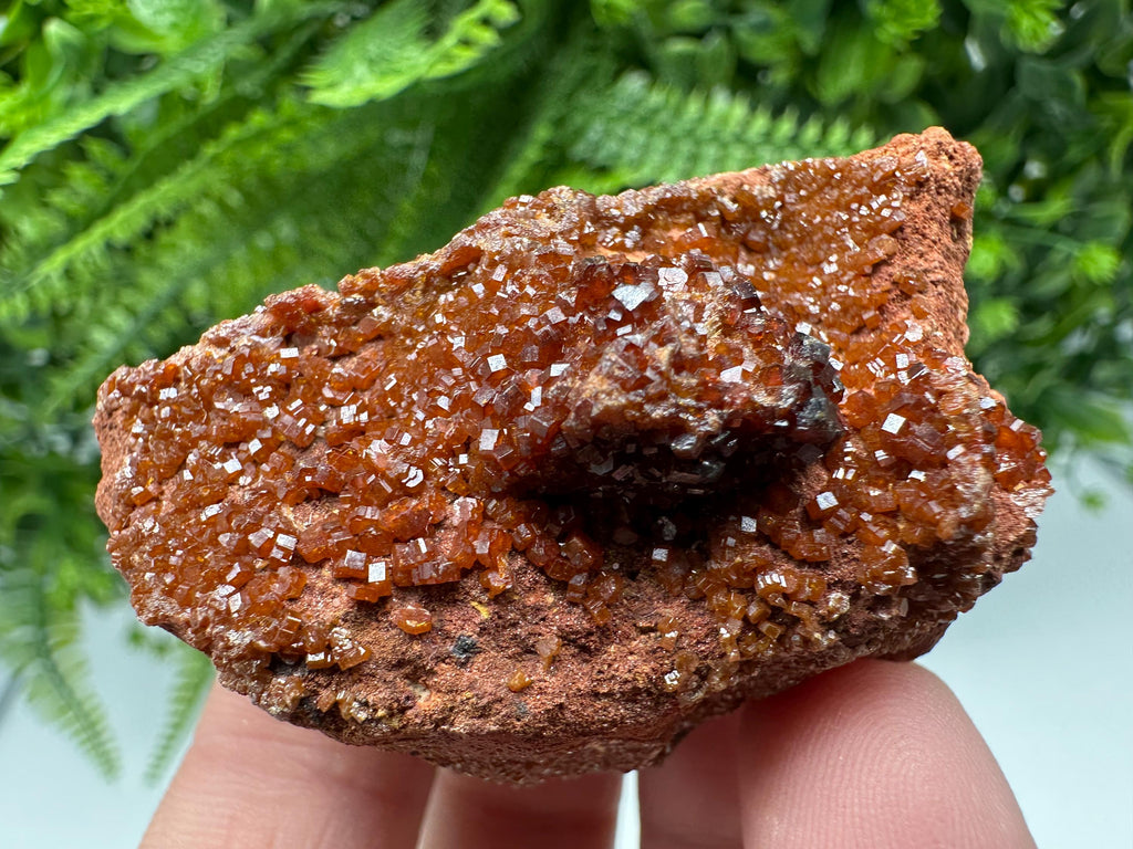 Red Vanadinite on Matrix from Marocco,crystal minerals Speciment cluster Vanadinite crystal Vanadinite Geology Vanadinite cluster minerals