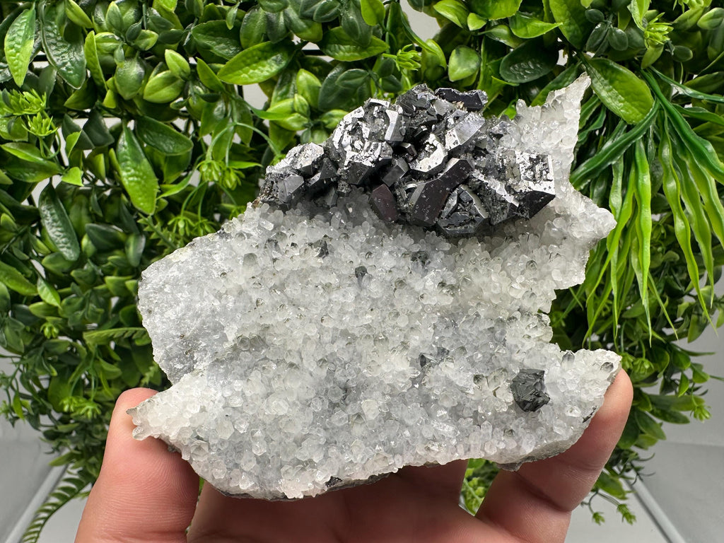 Galena on Quartz Specimen, Cleiophane Mineral, Krushev dol Mine, Bulgaria
