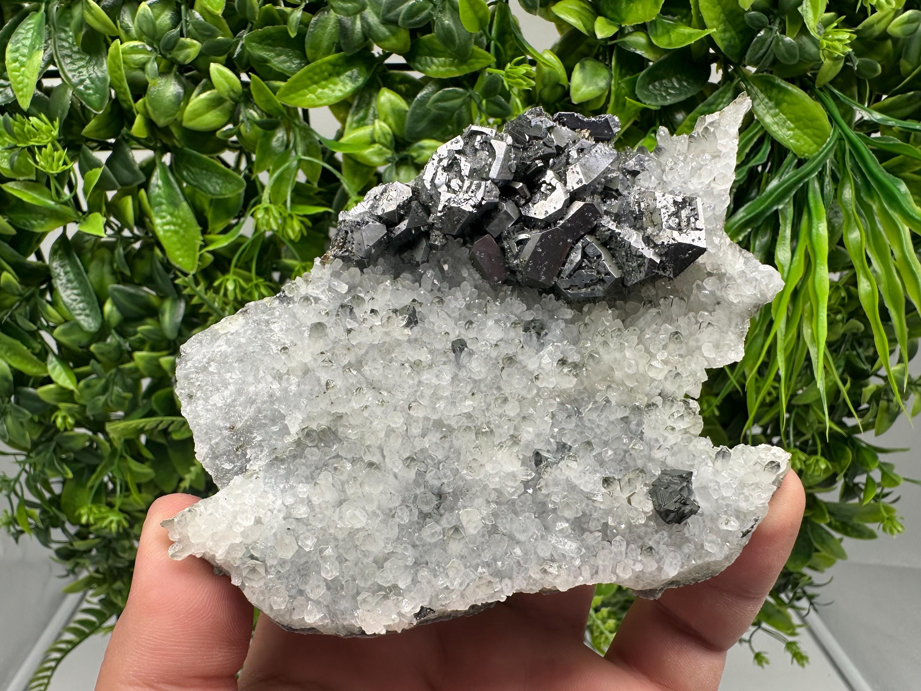 Galena on Quartz Specimen, Cleiophane Mineral, Krushev dol Mine, Bulgaria