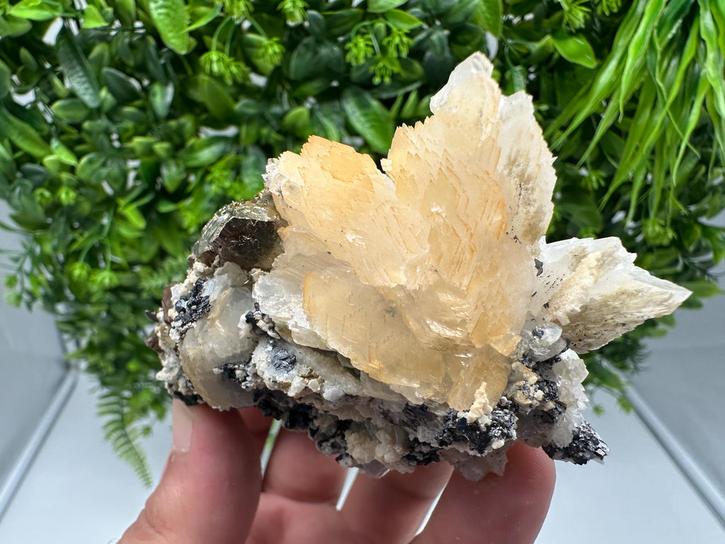 Stunning Pyrite on Quartz,Calcite from Borieva mine,Madan,Bulgaria,natural,collectible mineral specimen,home decor stone,collection crystal