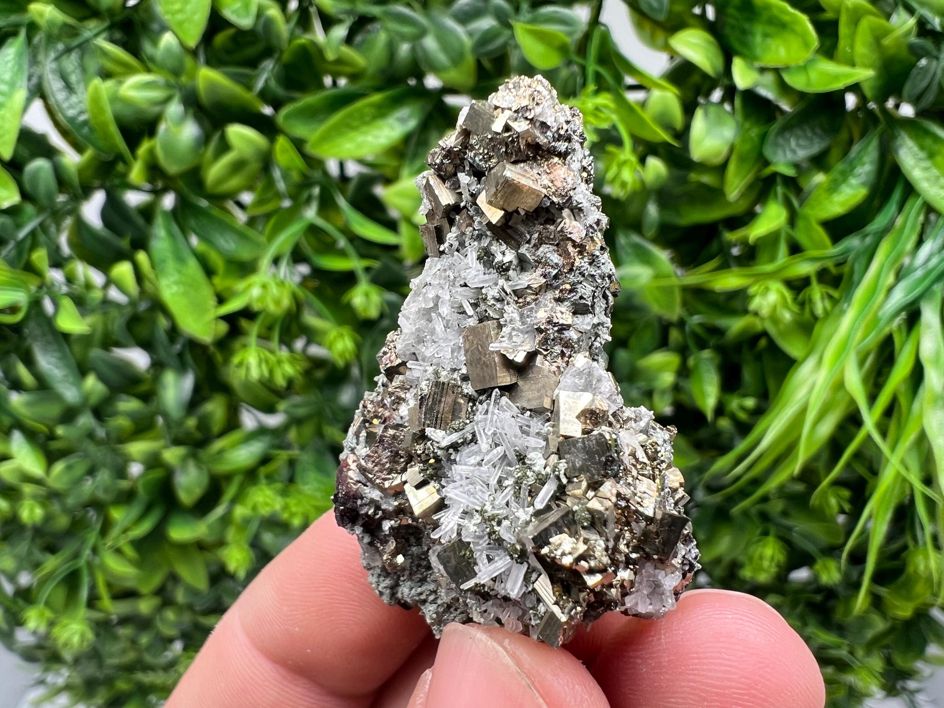Pyrite on Green Quartz Mineral Specimen, Borieva Mine Bulgaria