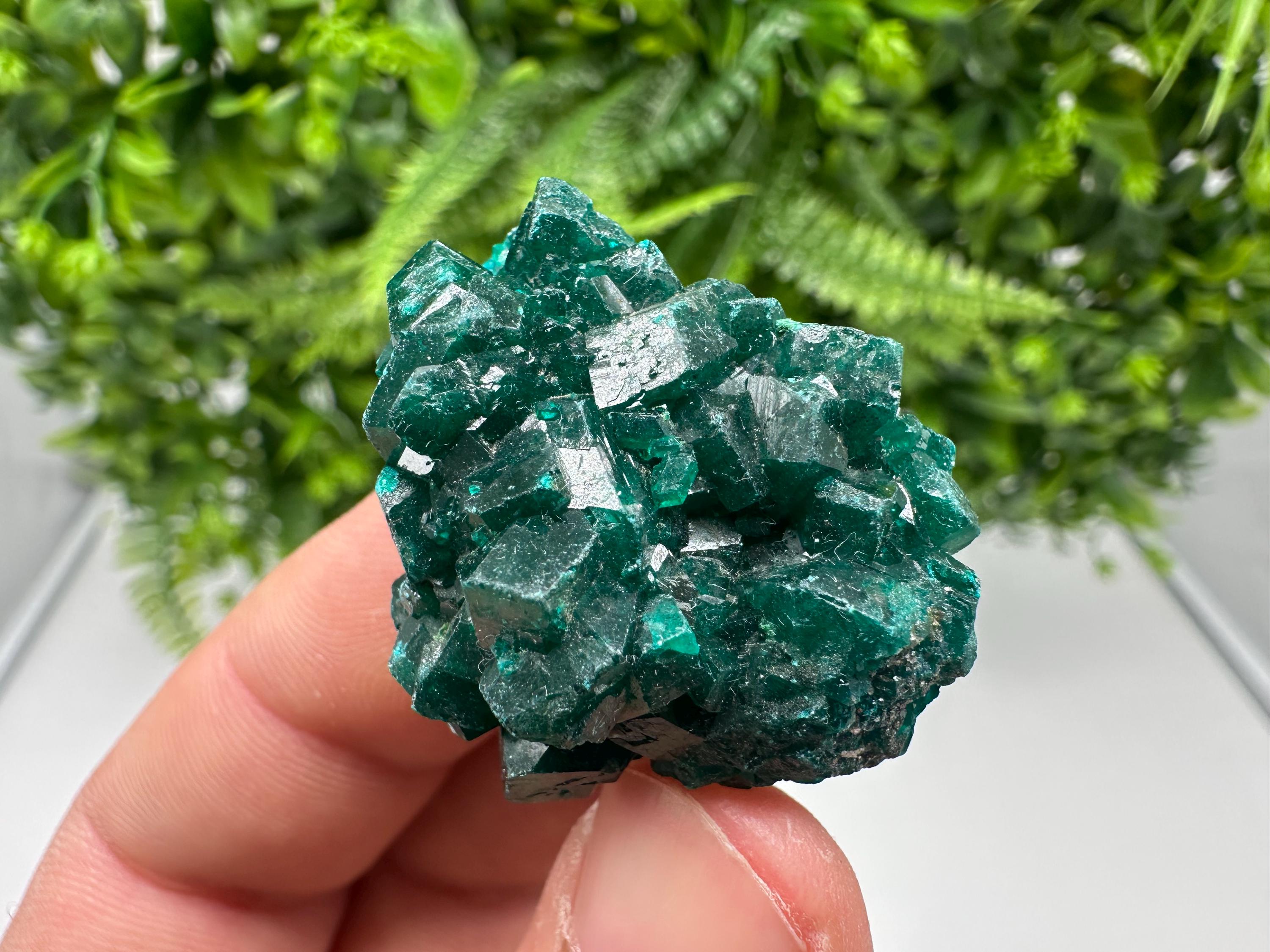 Stunning Green Dioptase from Sanda Hills,Mindouli,Pool Department,Mindouli District,Congo,green Dioptase,Dioptas Crystal,Dioptase collecting