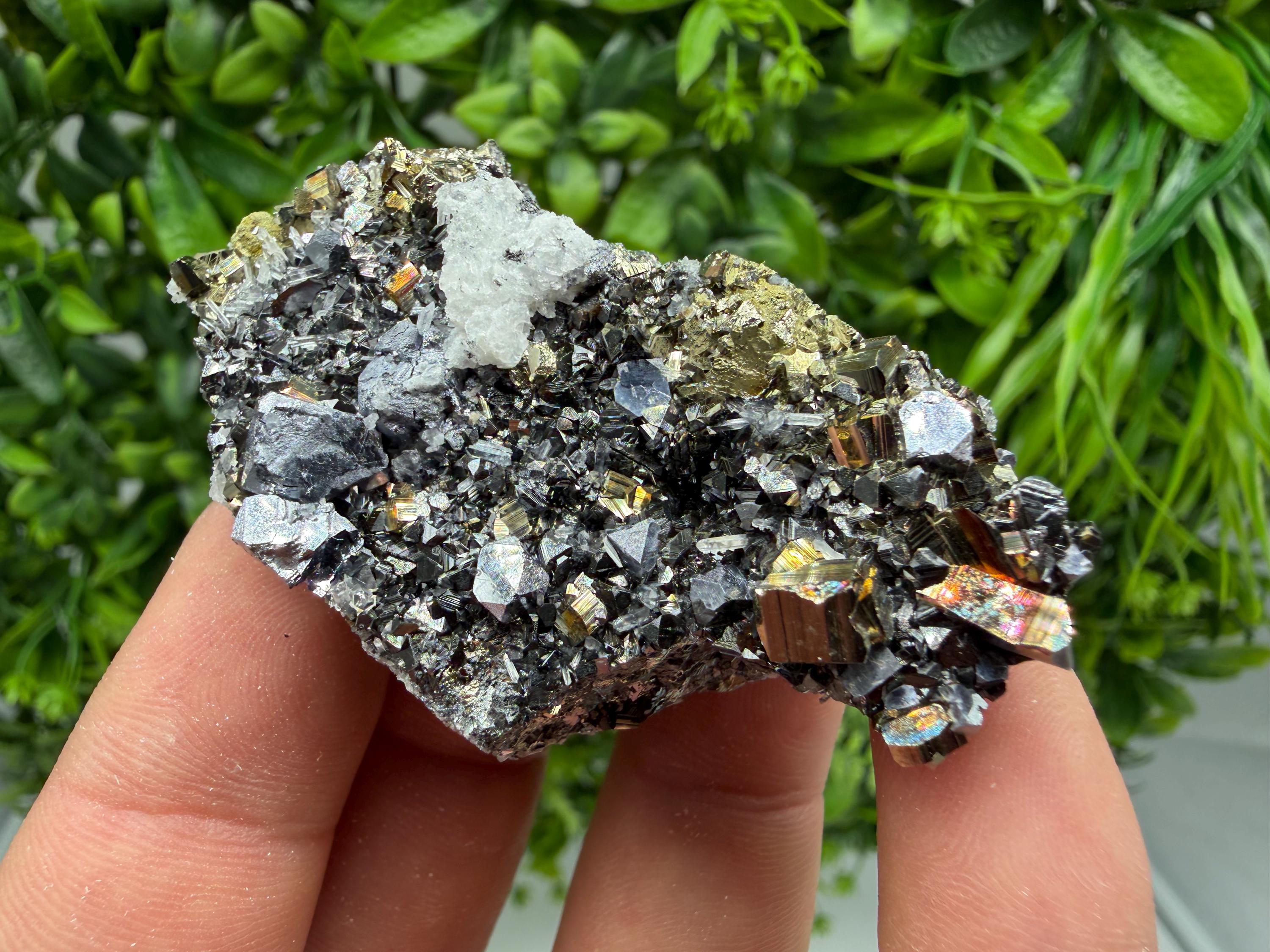 Pyrite Sphalerite Quartz  Mineral Specimen, Krushev dol Mine