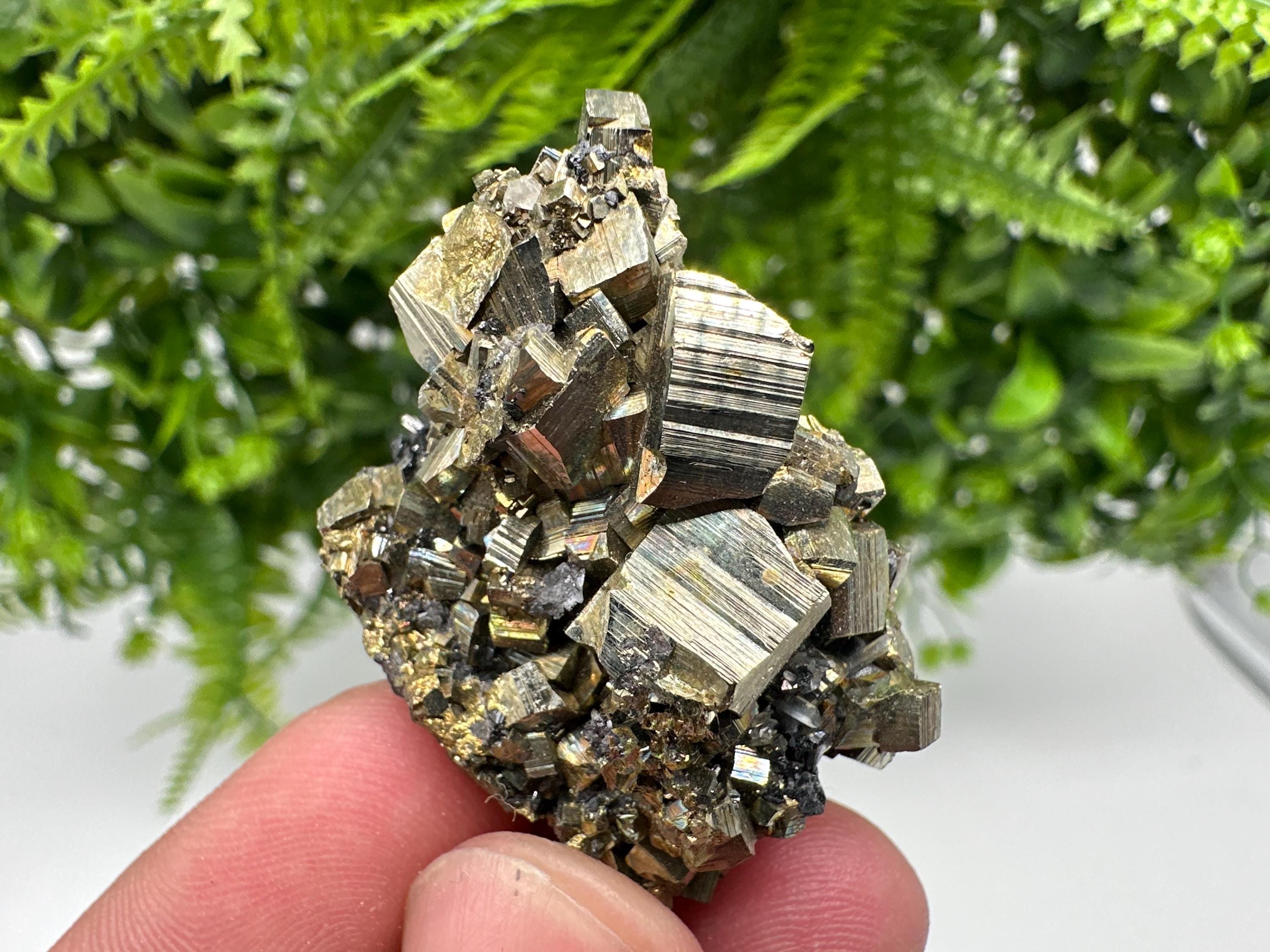 Rare Crystallized Pyrite Cluster - Borieva Mine, Bulgaria