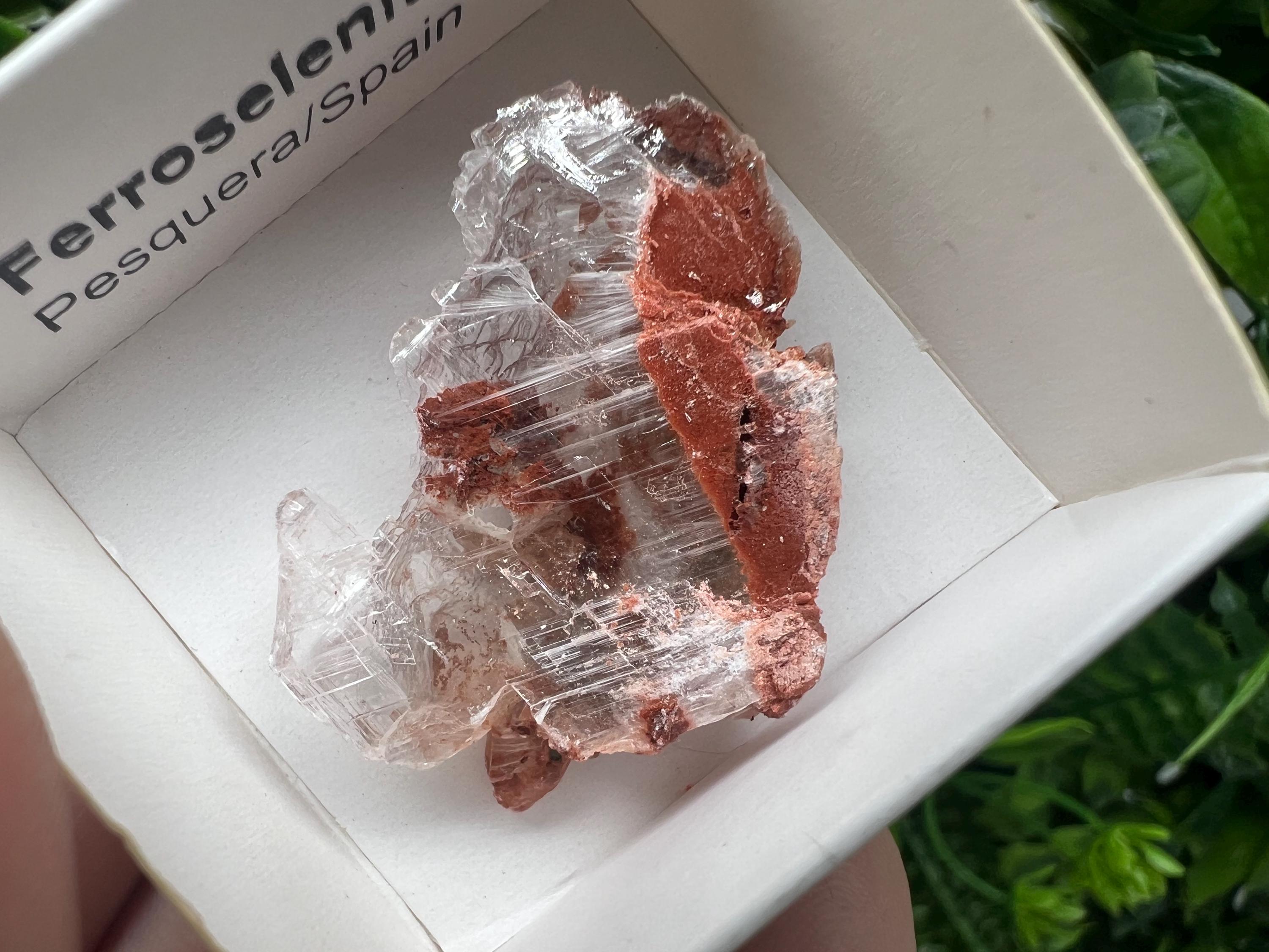Rare Ferroselenite Specimen: La Pesquera, Spain Mineral Crystal (3.3/3 cm)