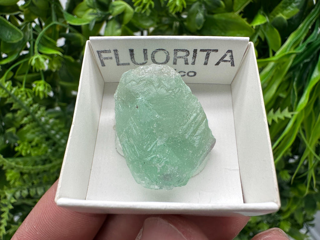 Rare Rainbow Fluorite from Mexico: Raw Meditation Stone