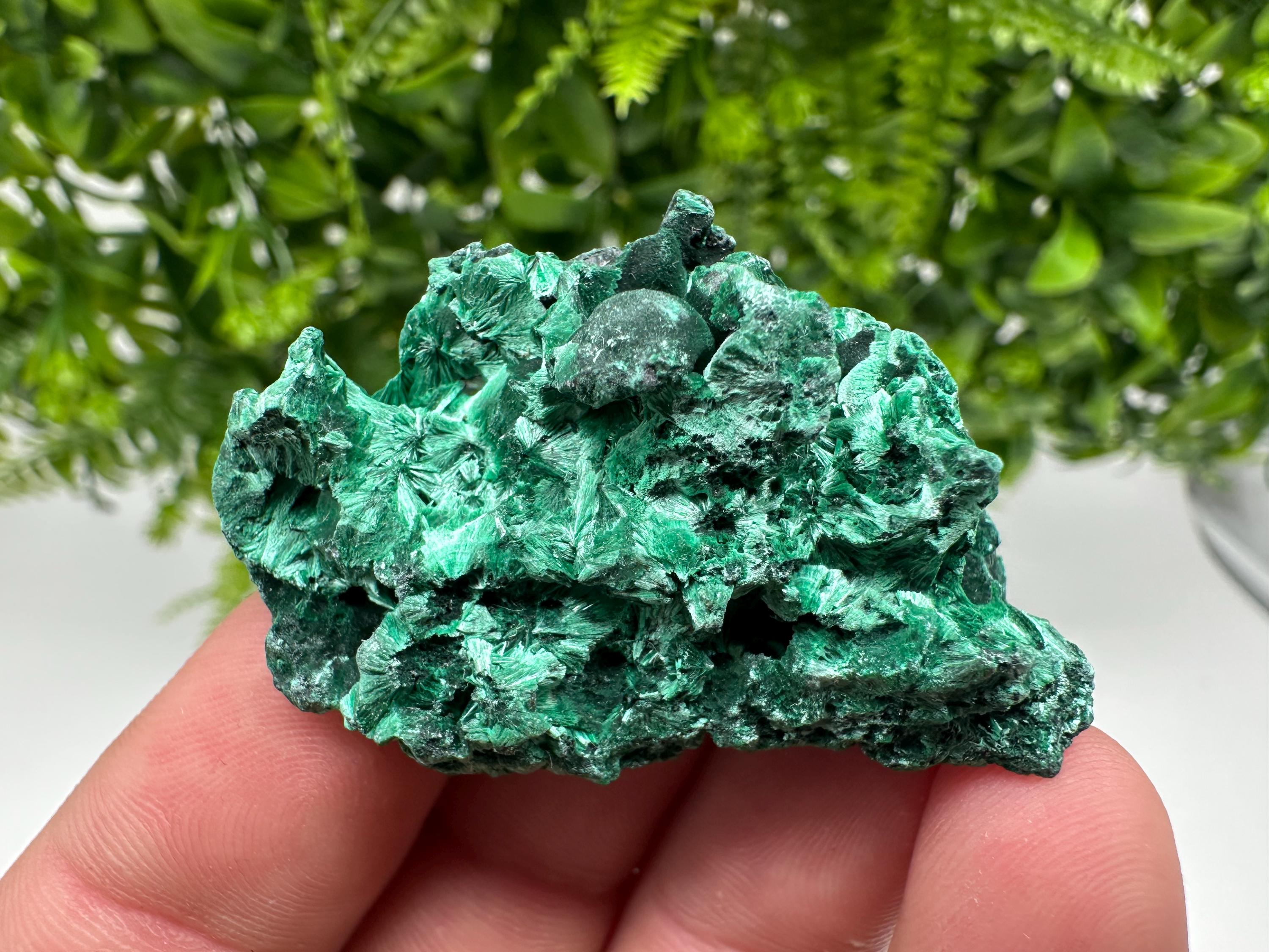 Malachite Crystal from Congo,Minerals,Crystals from Congo,Green Malachite, Malachite,Natural Malachite,Malachite Stone,Chakra, Specimens