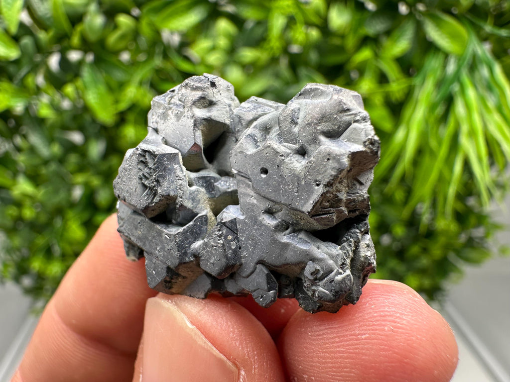 Shiny Galena Cluster: Borieva Mine, Bulgaria - Natural Mineral Stone
