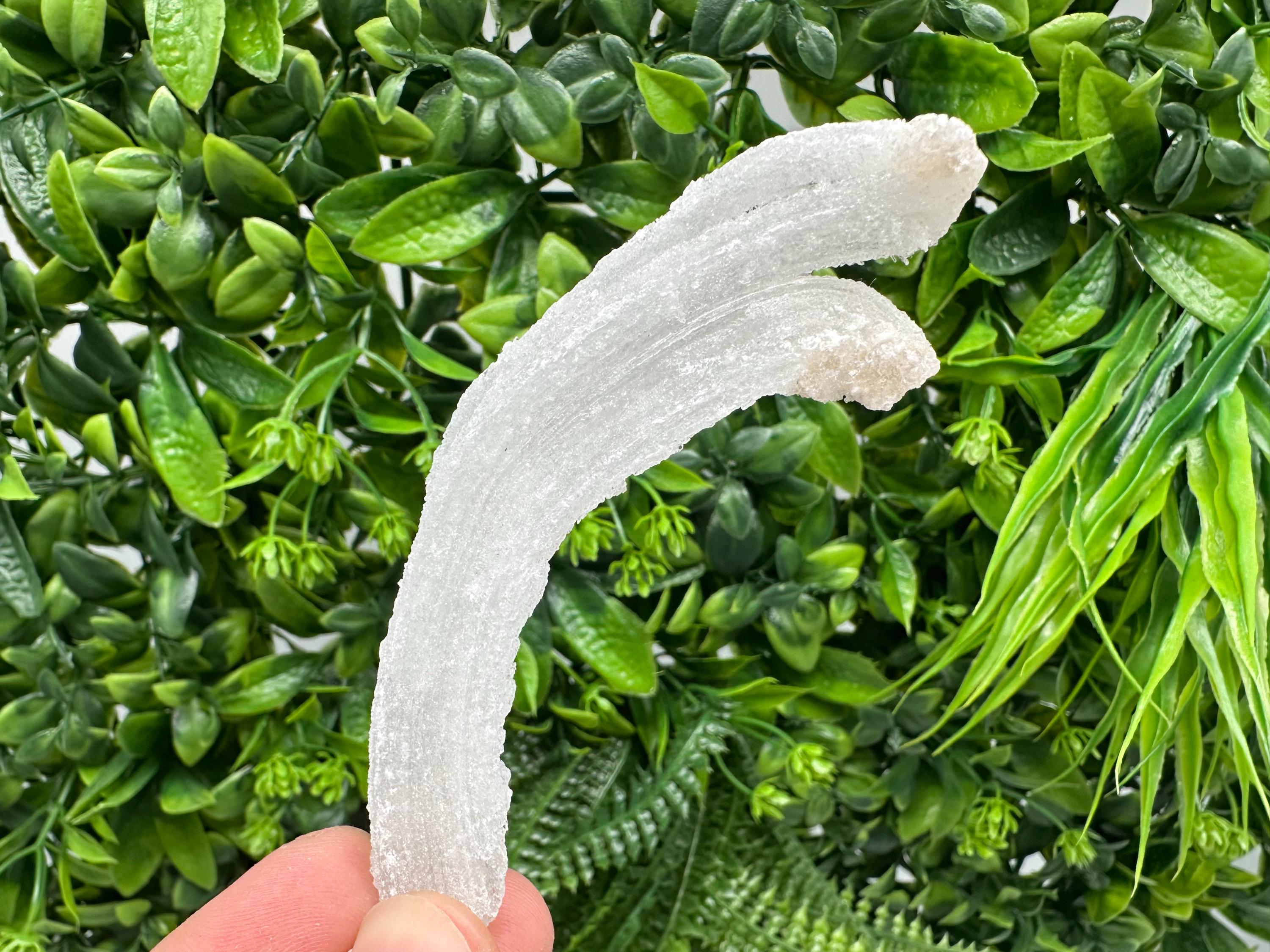 White Selenite Gypsum "Ram's Horn'' Selenite,from Guizhou,China,perfect Shape and Luster,Fluorescent Selenite Gypsum,minerals specimen,colle