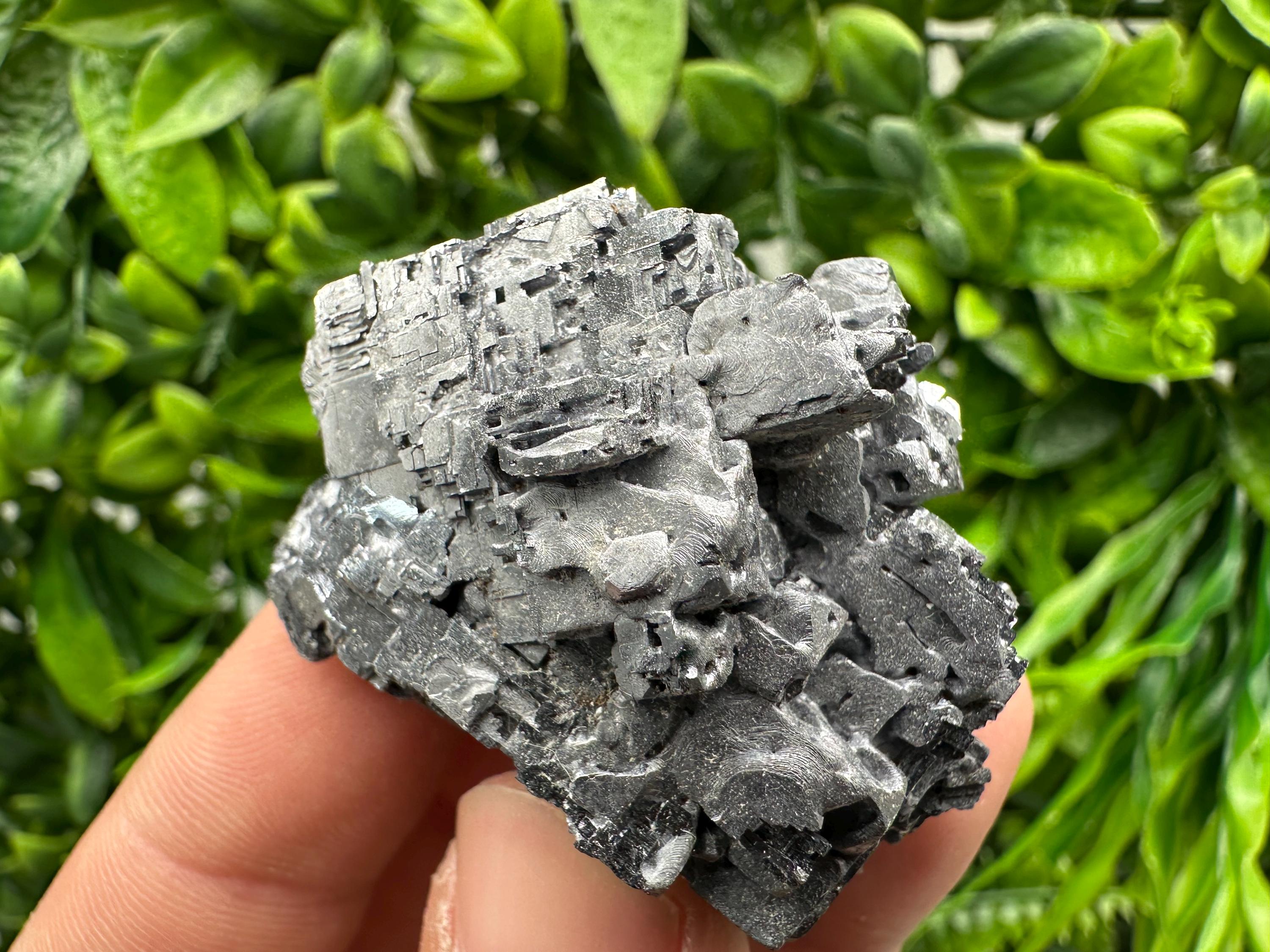 Skeletal Galena on Sphalerite: Natural Mineral Crystal Decor