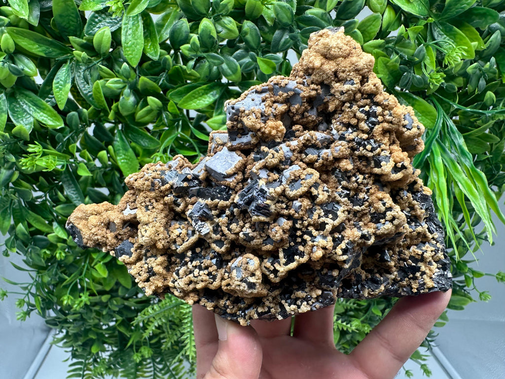Skeletal Galena with Dolomite: Krushev Dol Mine, Bulgaria