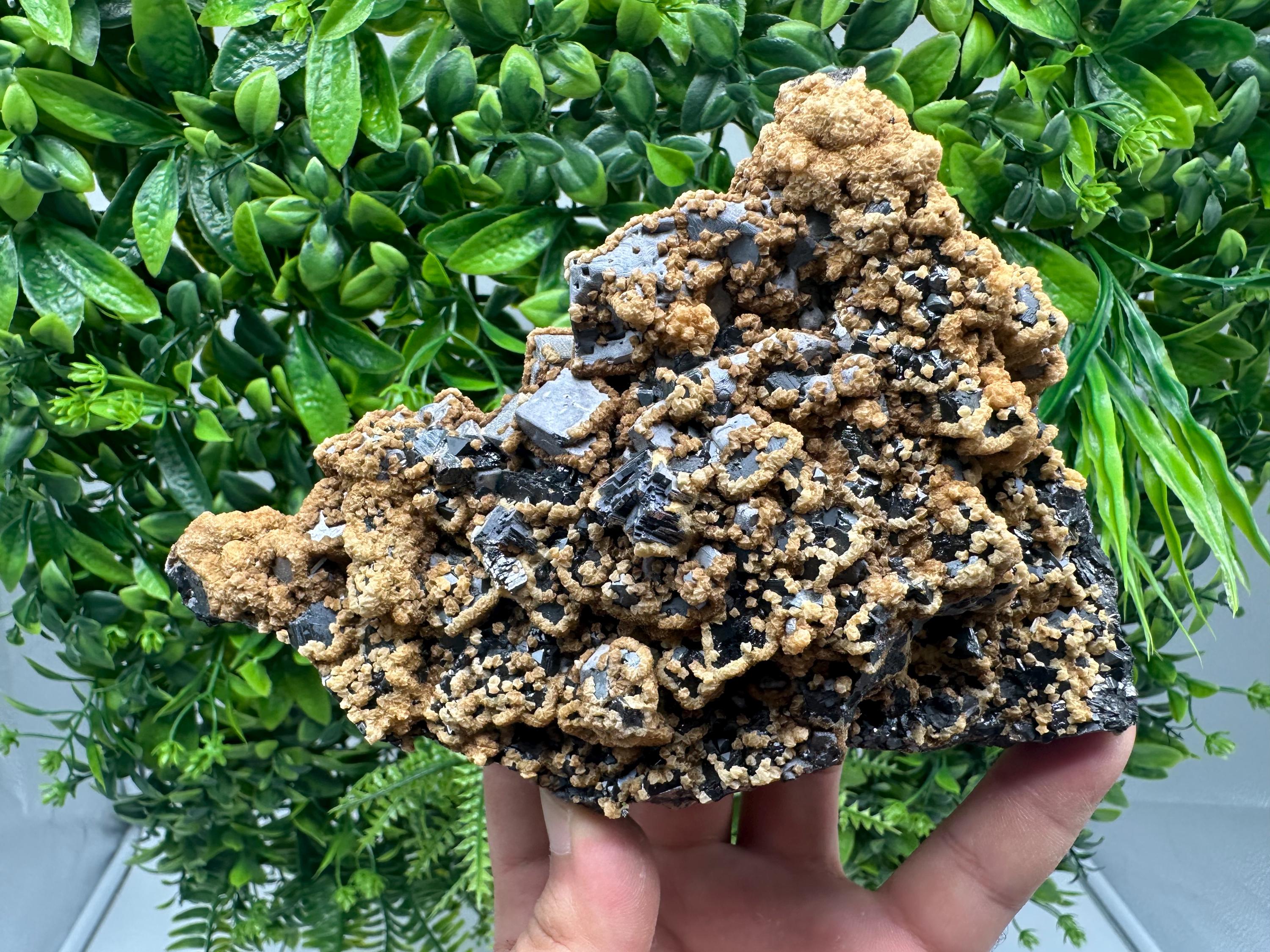 Skeletal Galena with Dolomite: Krushev Dol Mine, Bulgaria