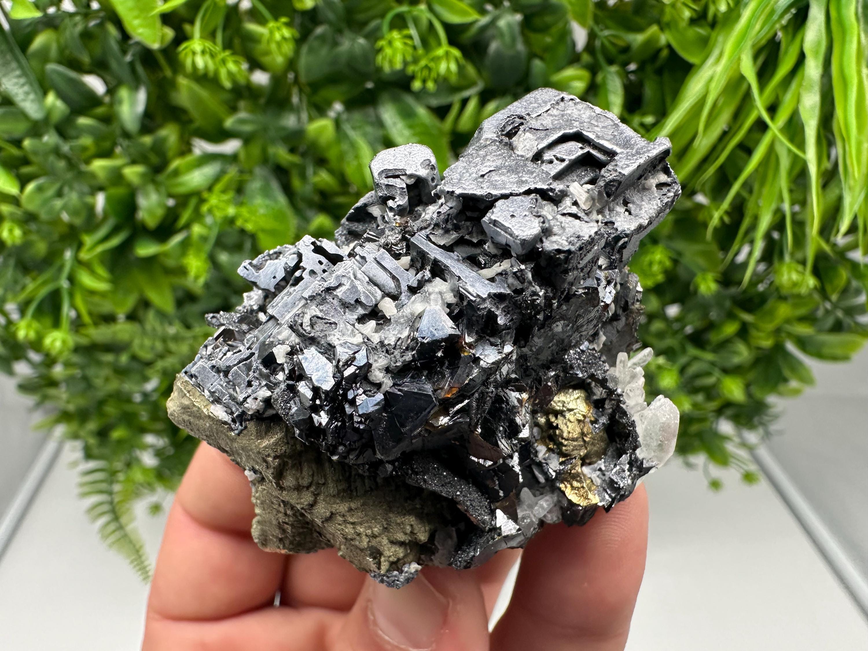 Wonderful Sphalerite Chalcopyrite on  Quartz whit Galena feom 9 th September mine,Bulgaria,natural,collection mineral specimen,gift