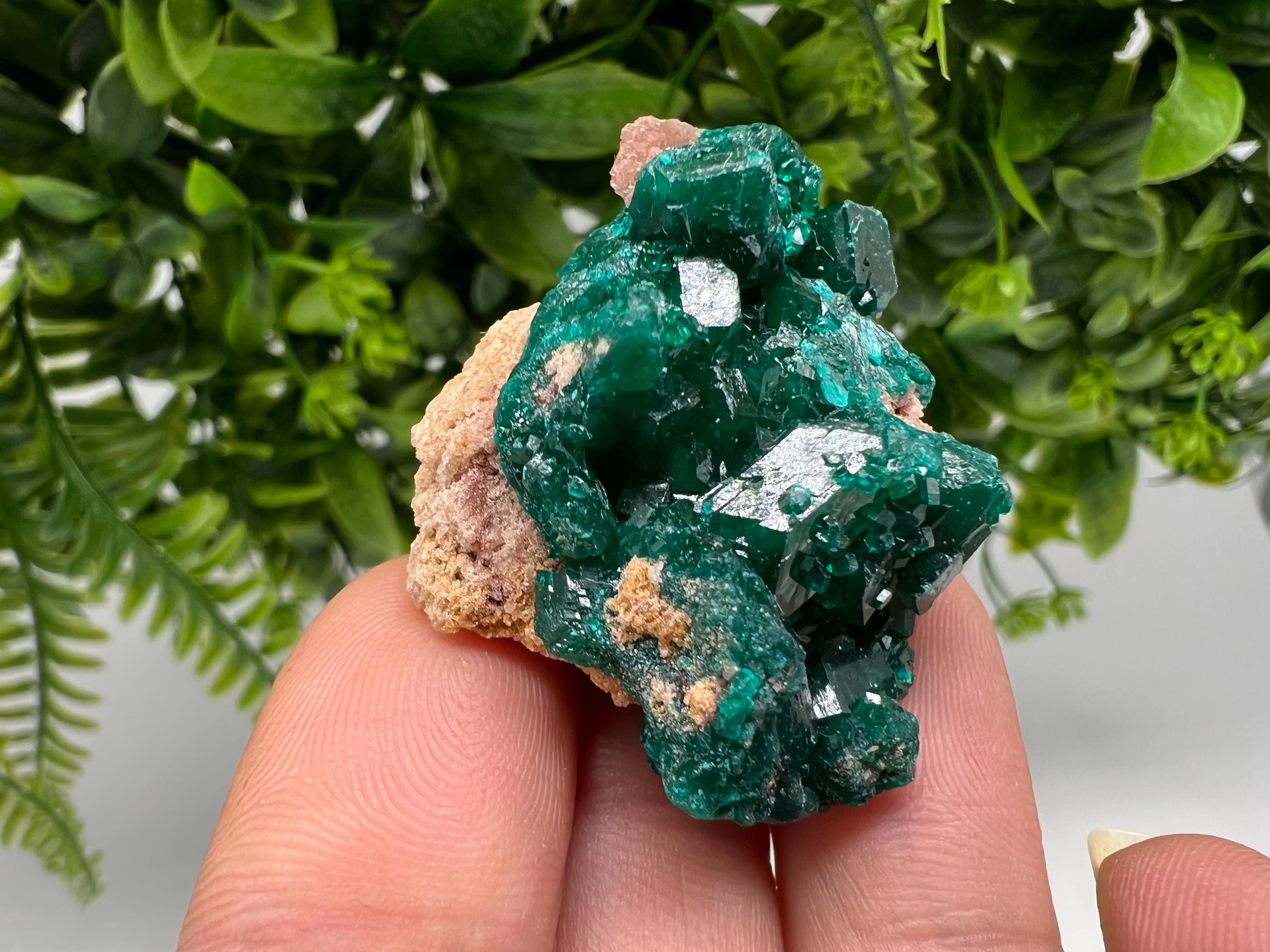 Stunning Green Dioptase from Sanda Hills,Mindouli,Pool Department,Mindouli District,Congo,green Dioptase,Dioptas Crystal,Dioptase collecting