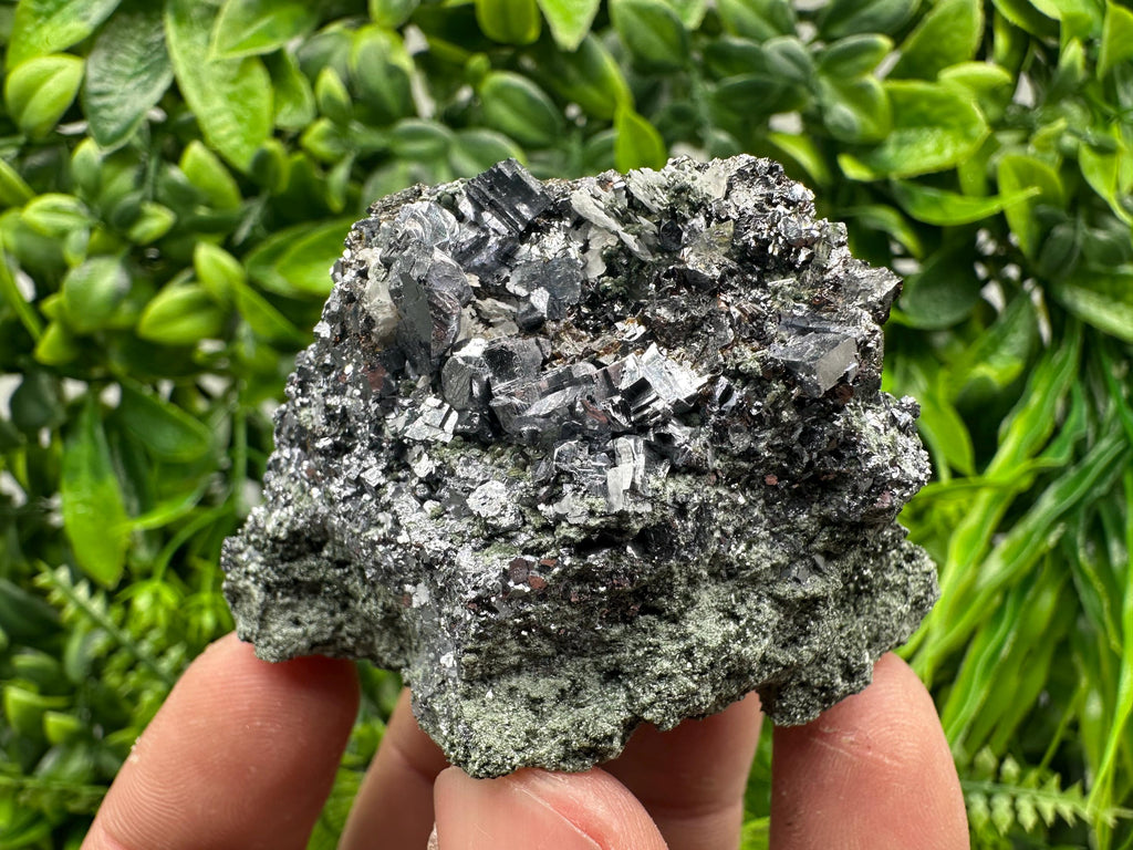 Skeletal Galena on Chlorite Matrix, Borieva Mine Mineral Specimen