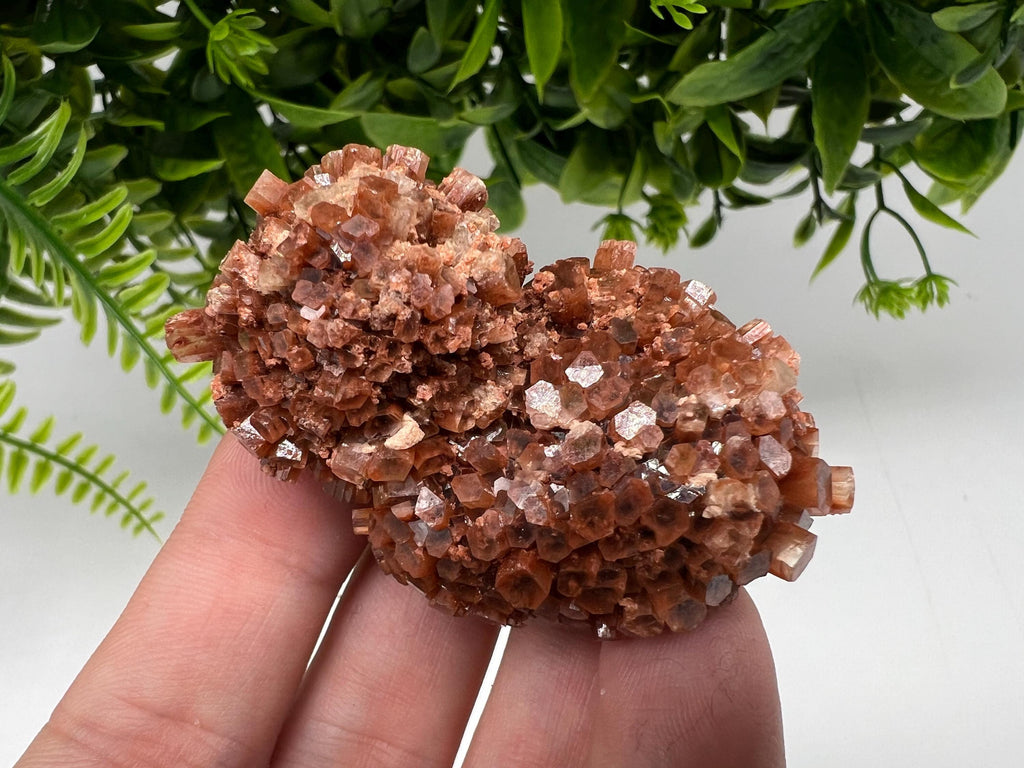 Large Aragonite Sputnik Cluster: Raw Moroccan Crystal Stone