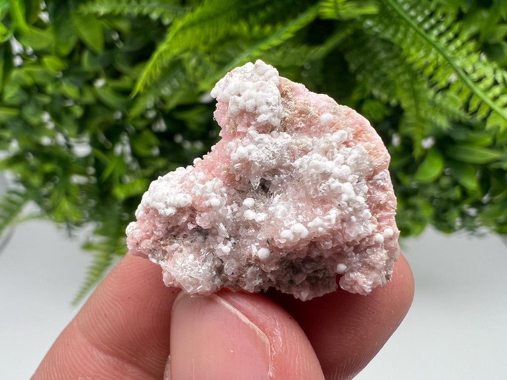 RARE Rhodochrosite whit white Calcite,pink mineral,Starnica Mine,Davidcovo,Bulgaria natural mineral,souvenir crystal,home decor,collectible