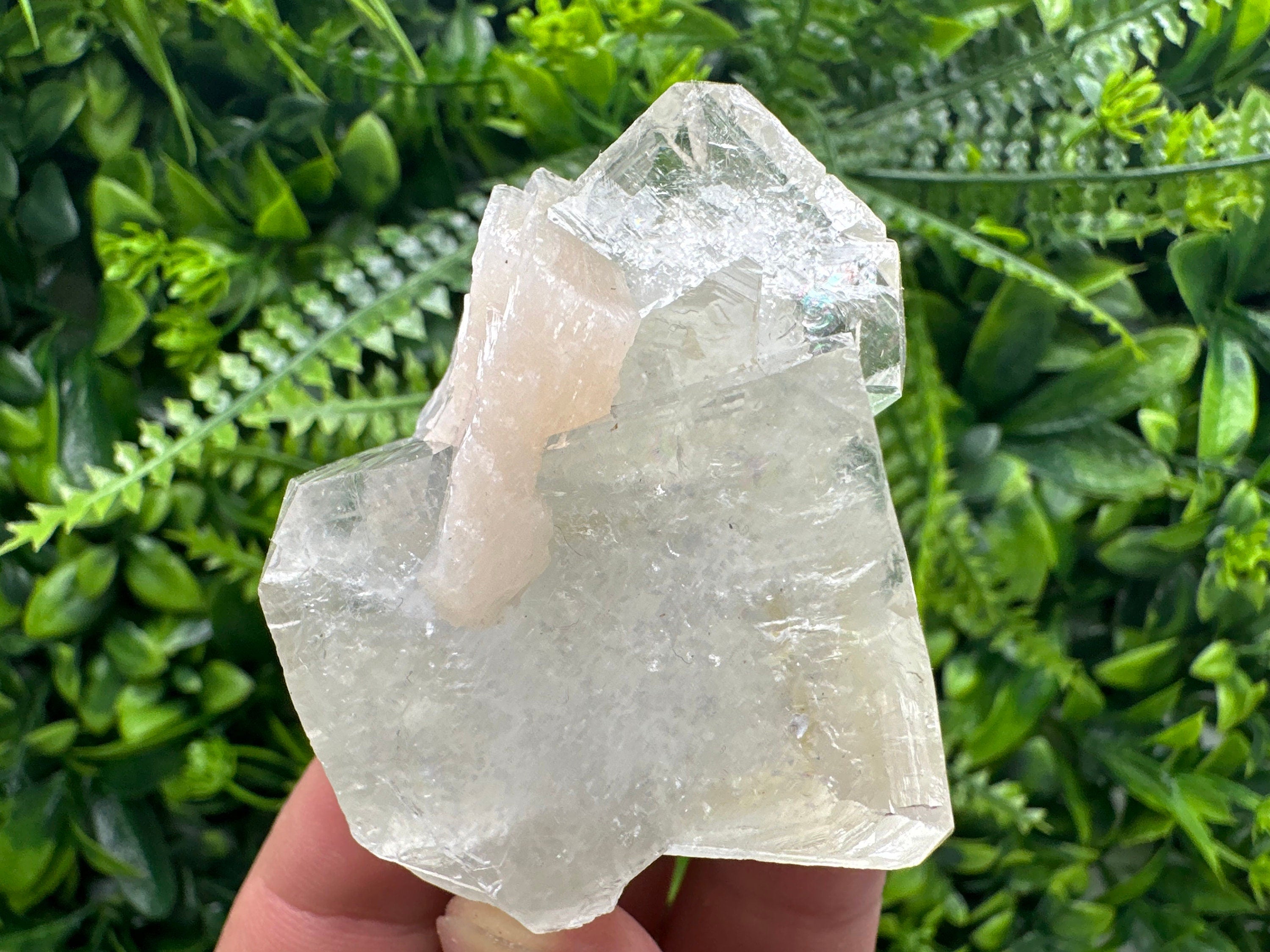 Apophyllite with Stilbite, India Mineral Specimen, Rare Crystal