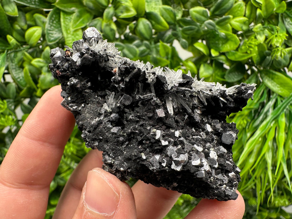 Galena, Quartz, Calcite on Chlorite, Borieva Mine Mineral Specimen