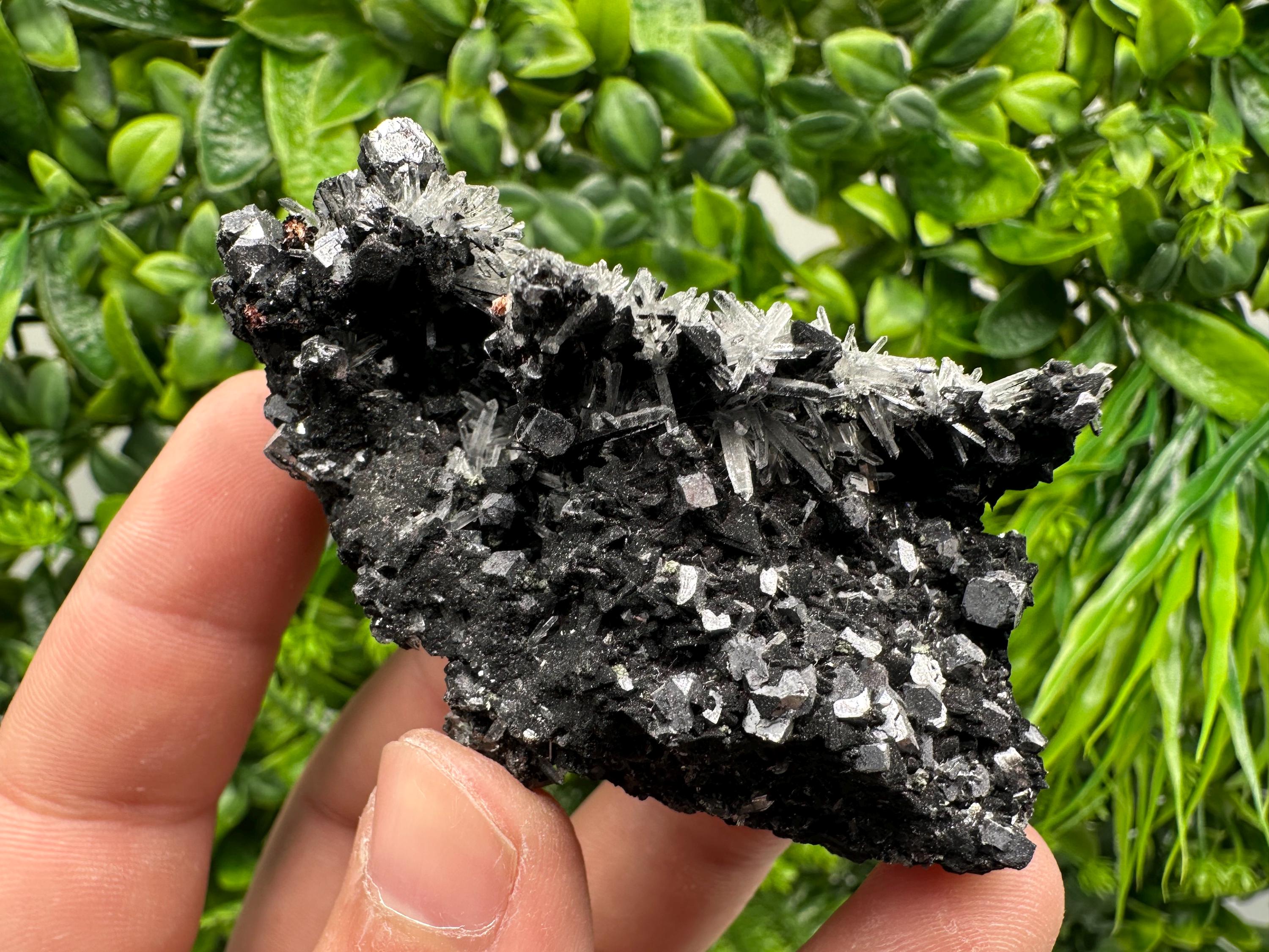 Galena, Quartz, Calcite on Chlorite, Borieva Mine Mineral Specimen