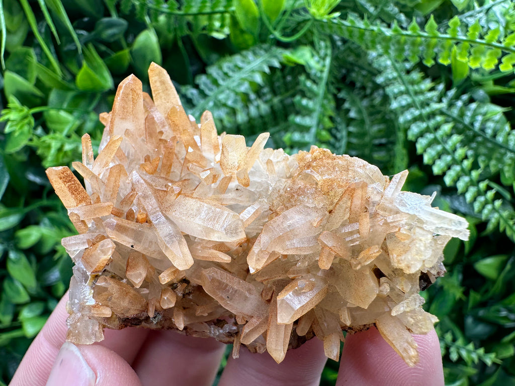 Transparent Quartz Cluster: Natural Mineral Souvenir, Bulgaria