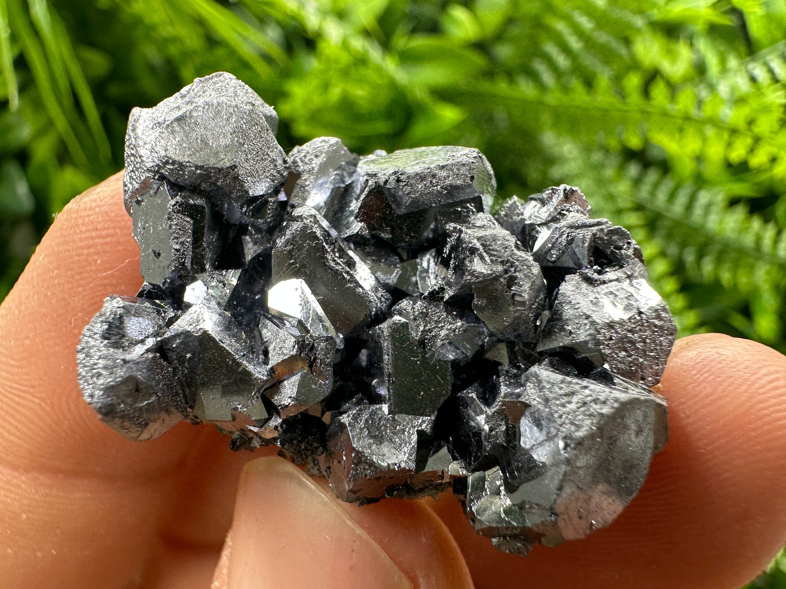 Shiny Galena Cluster: Borieva Mine, Madan, Bulgaria