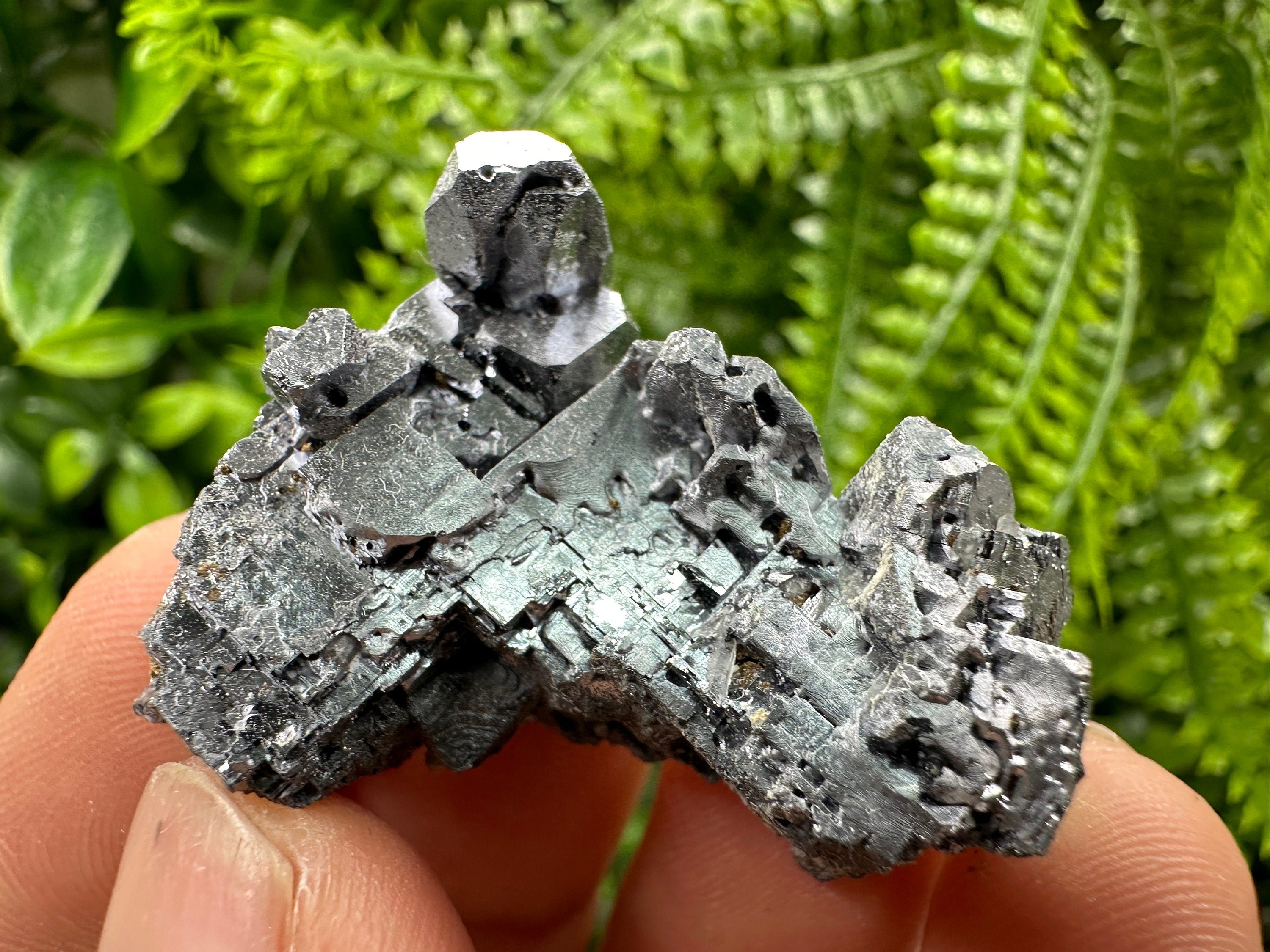 Skeleton Galena Cluster, Rare Morphology Crystal, 9th September Mine Bulgaria