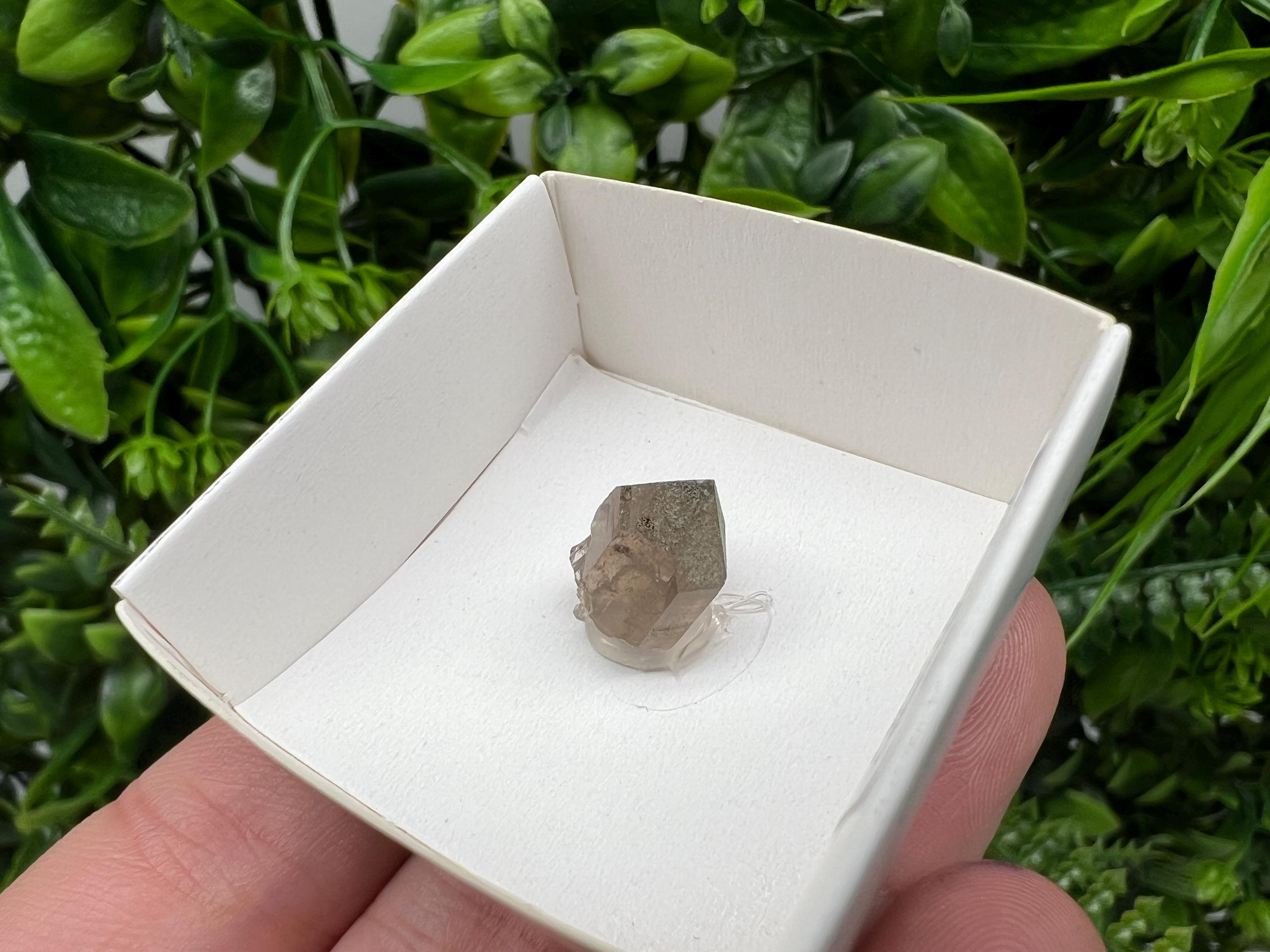 Rare Fedenstock Smoky Quartz Point, Swiss Mineral Specimen (15MM)