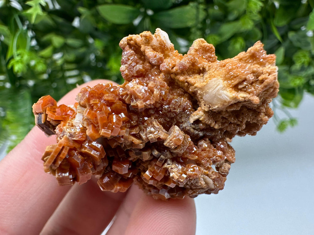 Red Vanadinite on Barite from Marocco,crystal minerals Speciment cluster Vanadinite crystal Vanadinite Geology Vanadinite cluster minerals