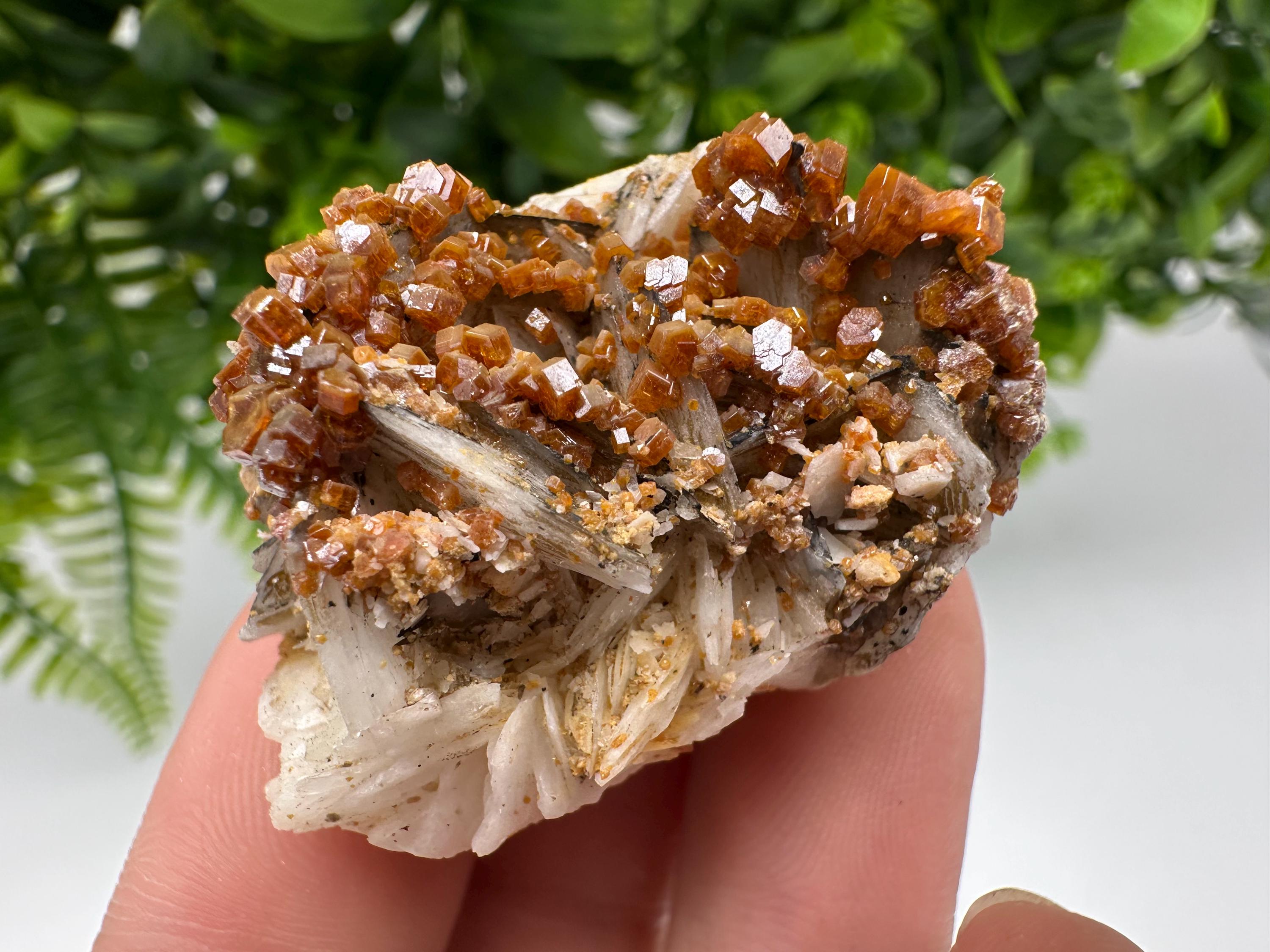 Red Vanadinite on Barite from Marocco,crystal minerals Speciment cluster Vanadinite crystal Vanadinite Geology Vanadinite cluster minerals