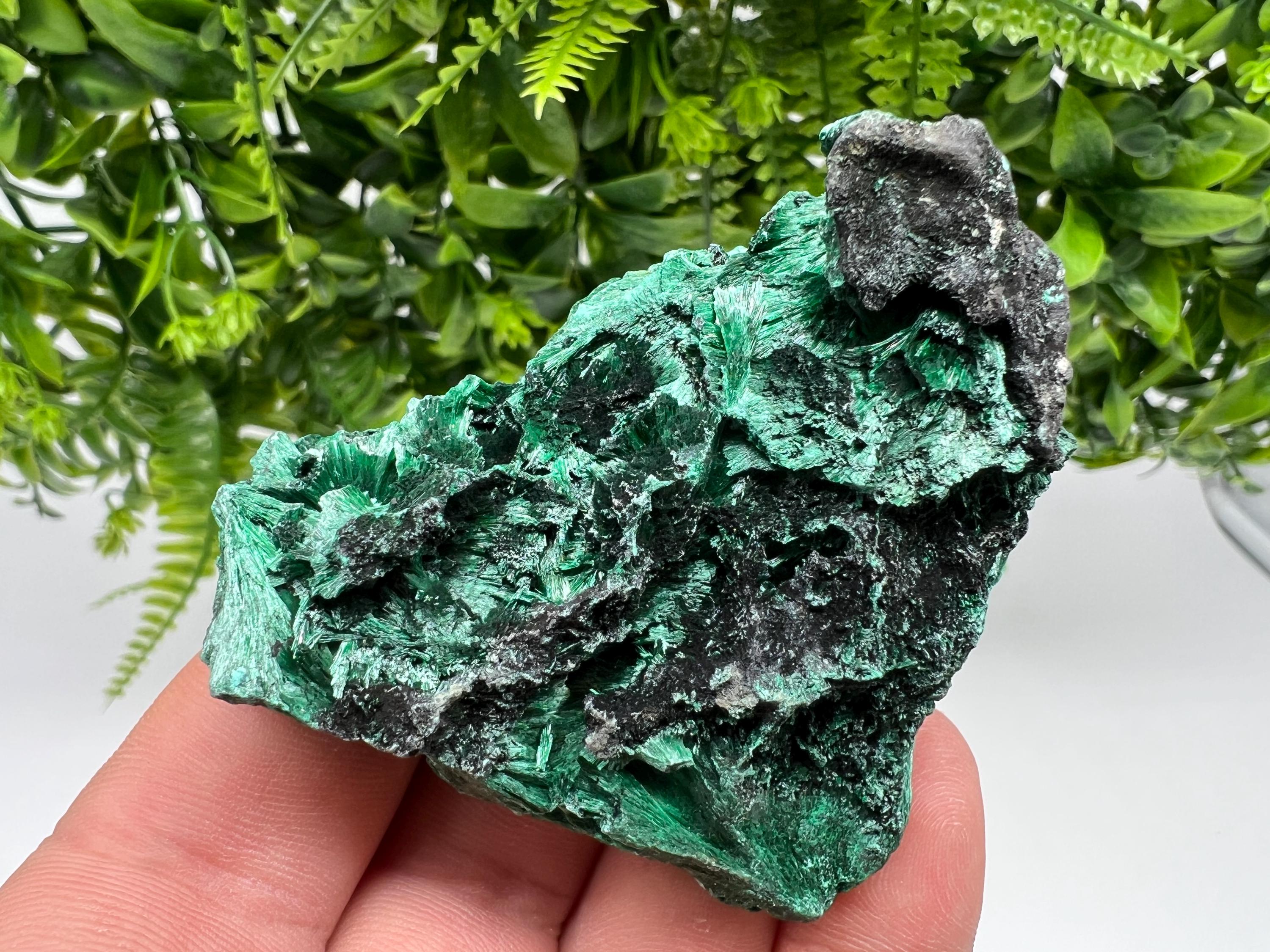 Polished Green Malachite Crystal Specimen from Congo