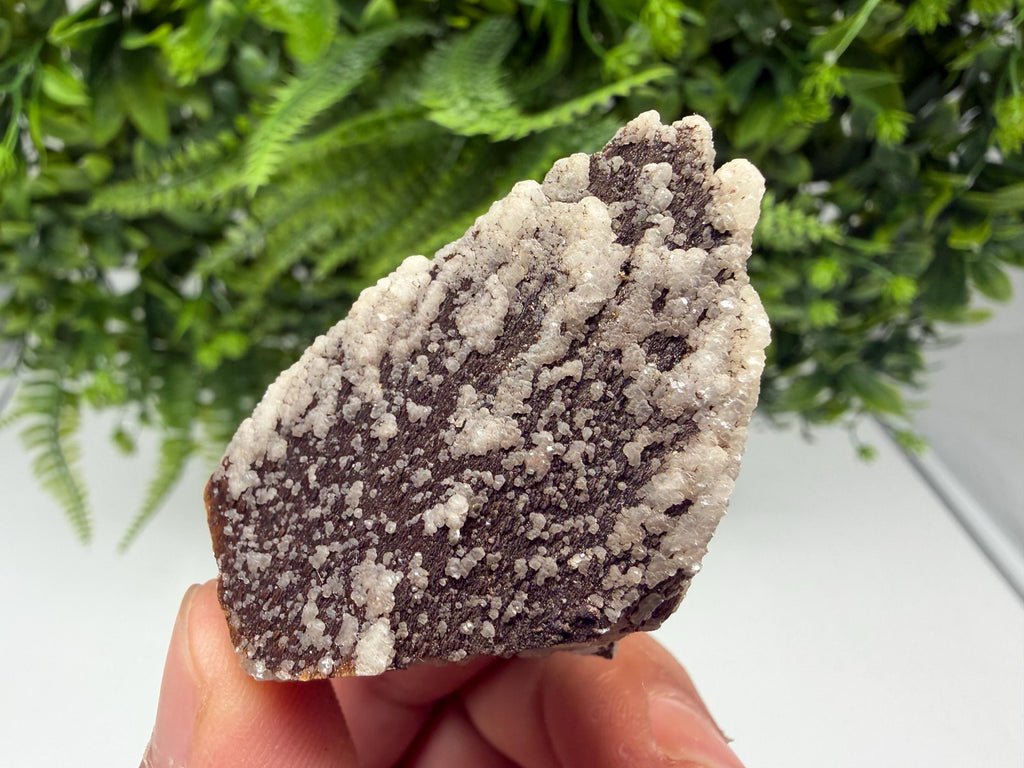 Brown Rhodochrosite on Calcite, Djurcovo Bulgaria, Mineral Specimen