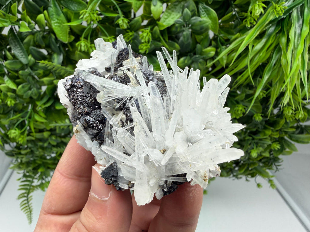 Borieva Sphalerite on Quartz: Rare Mineral Cluster