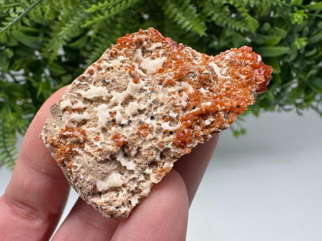 Red Vanadinite on Matrix from Marocco,crystal minerals Speciment cluster Vanadinite crystal Vanadinite Geology Vanadinite cluster minerals