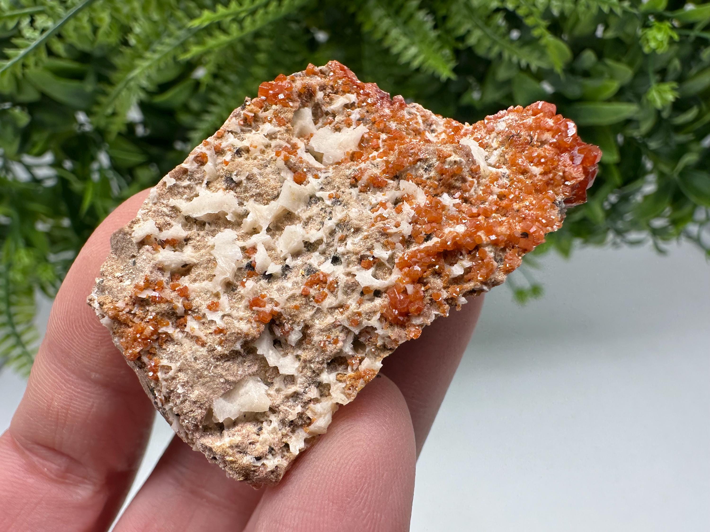 Red Vanadinite on Matrix from Marocco,crystal minerals Speciment cluster Vanadinite crystal Vanadinite Geology Vanadinite cluster minerals