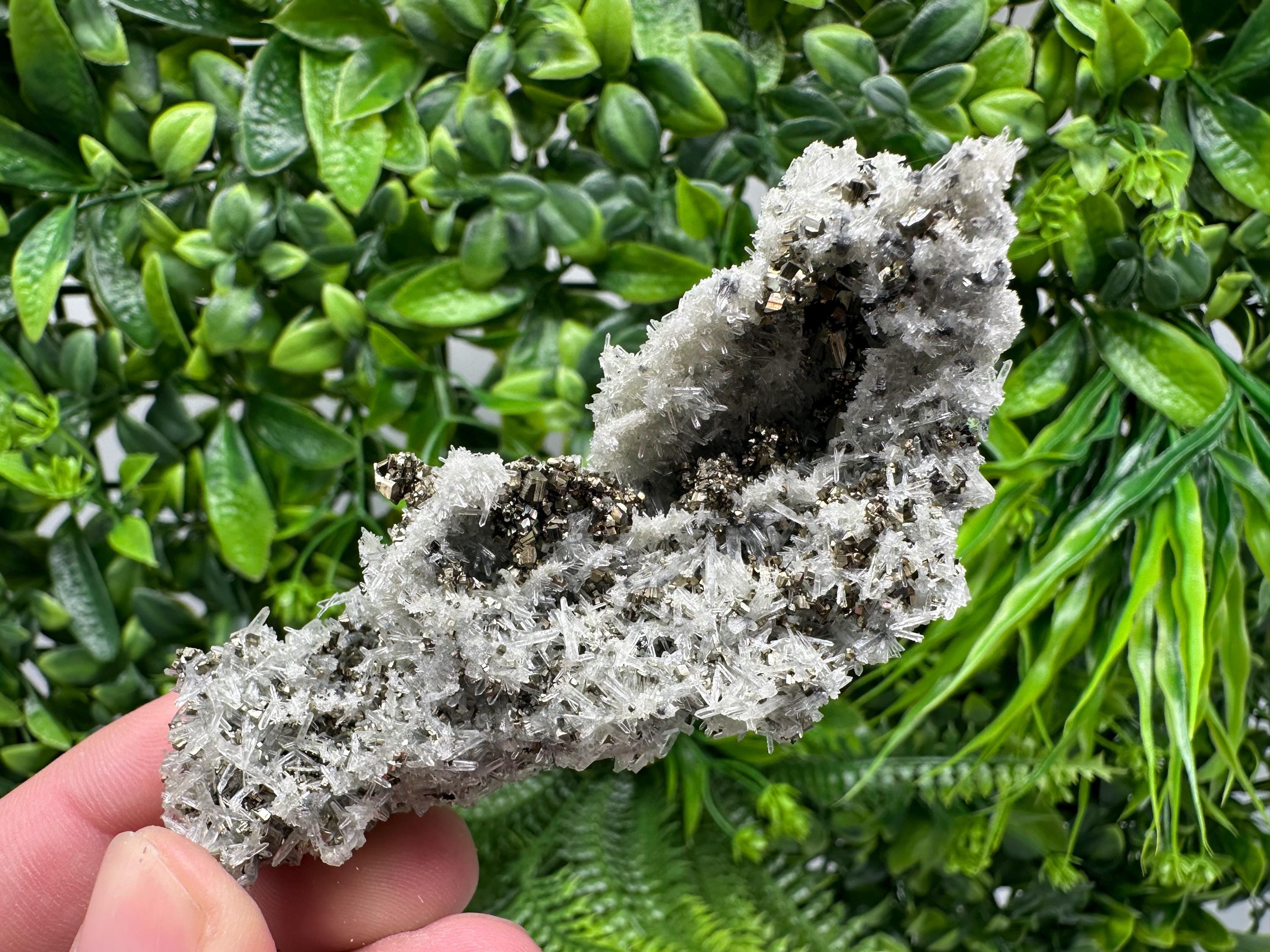 Pyrite on Needle Quartz, Madan Bulgaria, Collection Mineral Specimen
