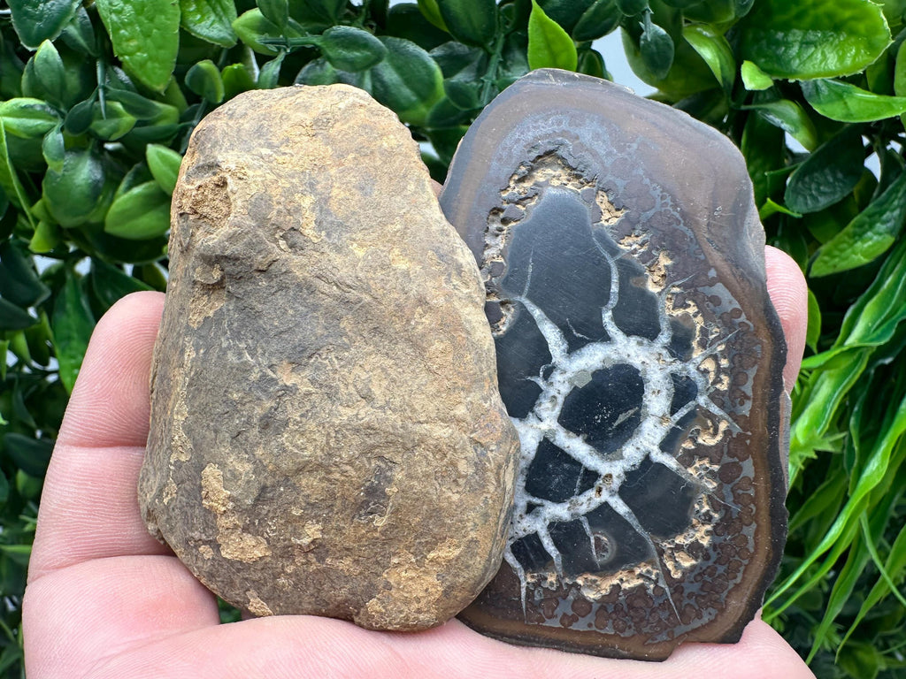 Septarian Nodule Geode Pair: Dragonstone Aragonite Limestone