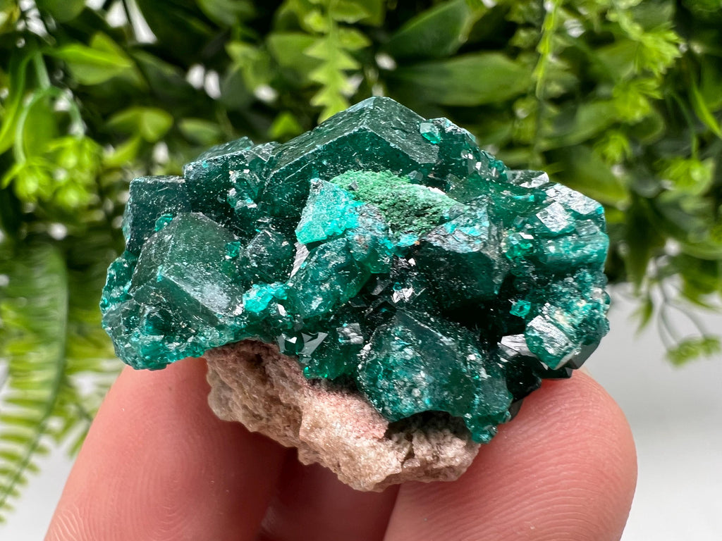 Green Dioptase Crystal Cluster, Sanda Hills Congo